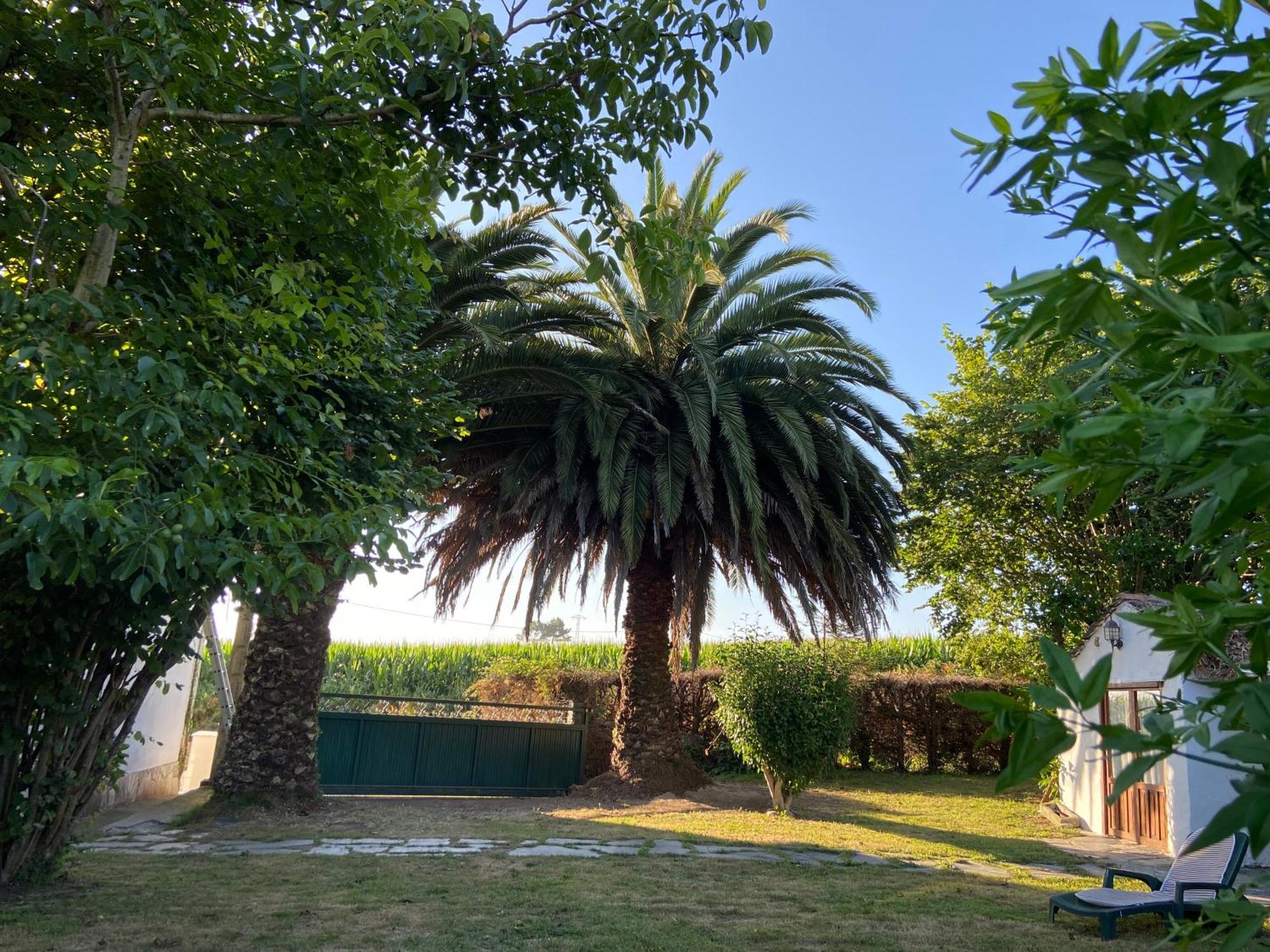 Finca Maria
