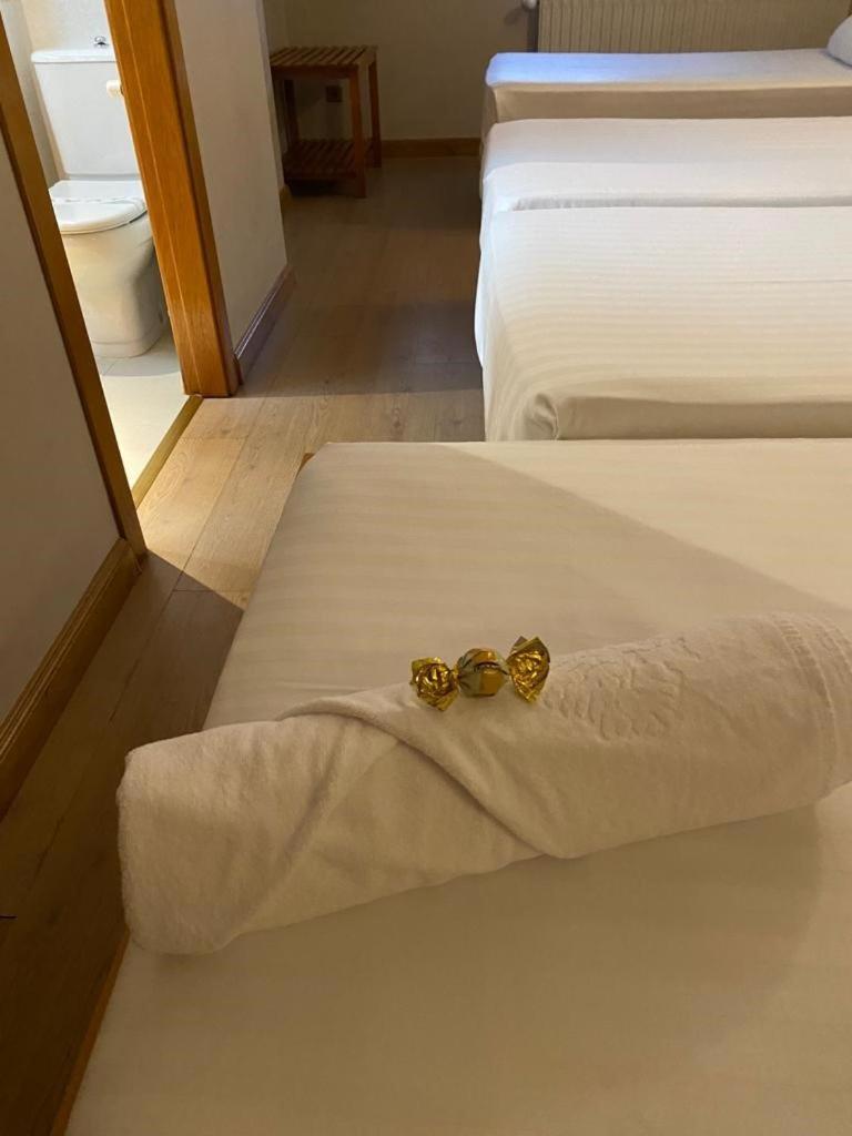 Carbayon Hotel