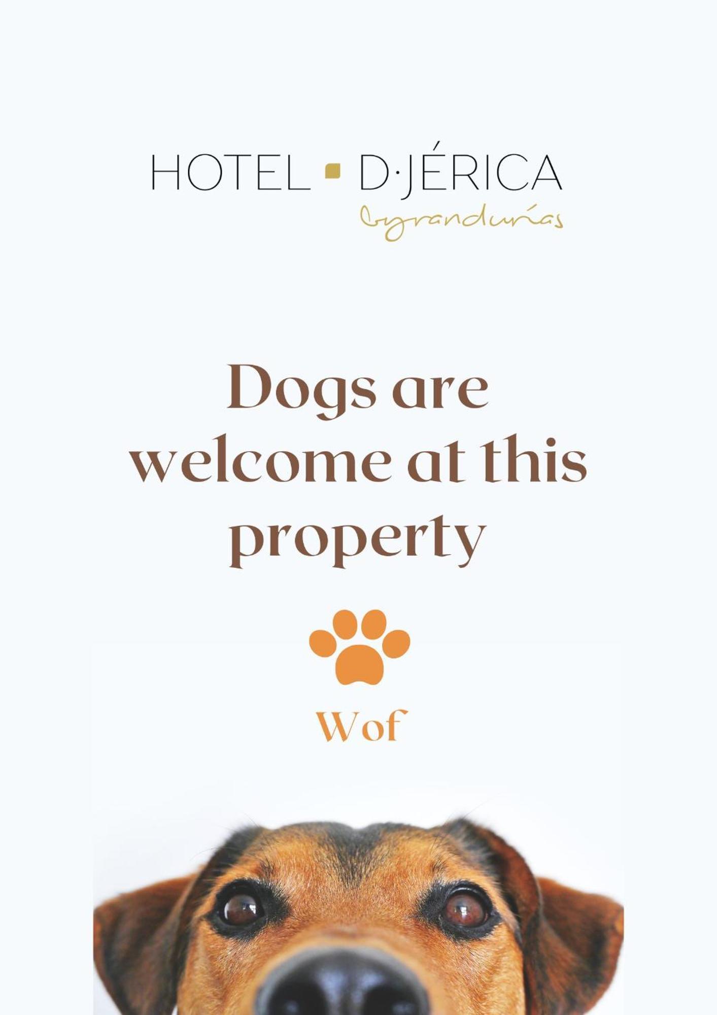 Hotel Rosaleda Doncel Jérica
