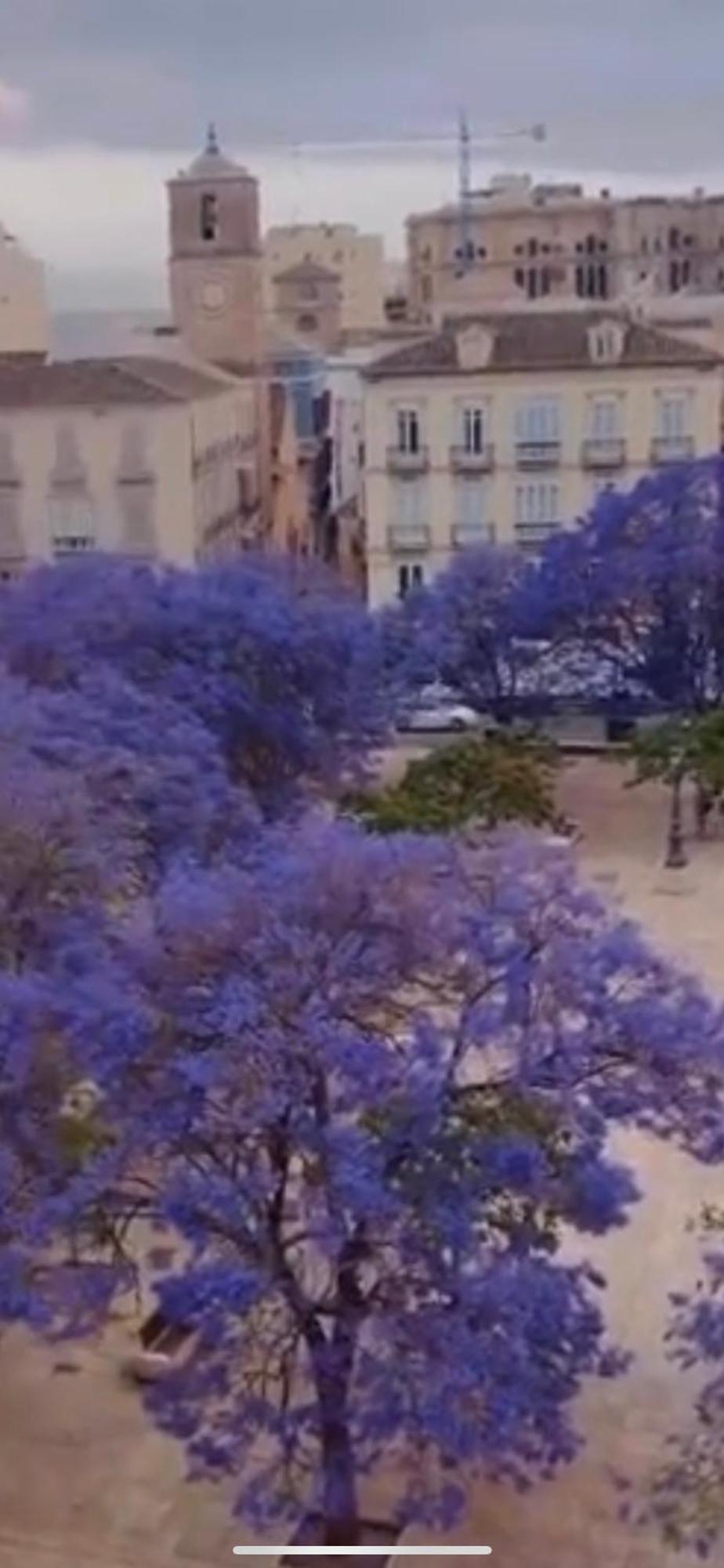 Apartment Apartamento—centro Parking Gratis Grupos Malaga