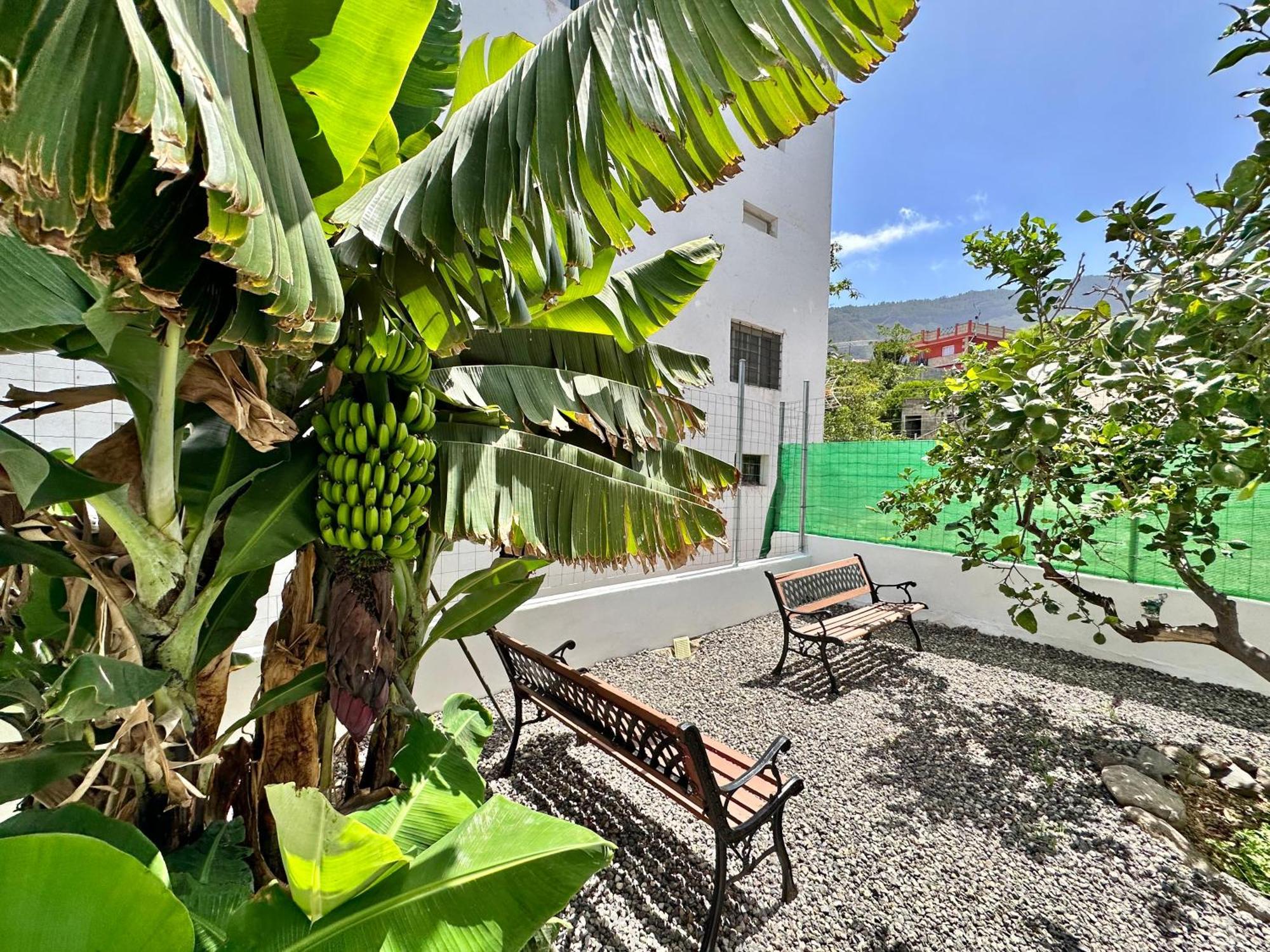 Holiday home Casa Tina Guimar