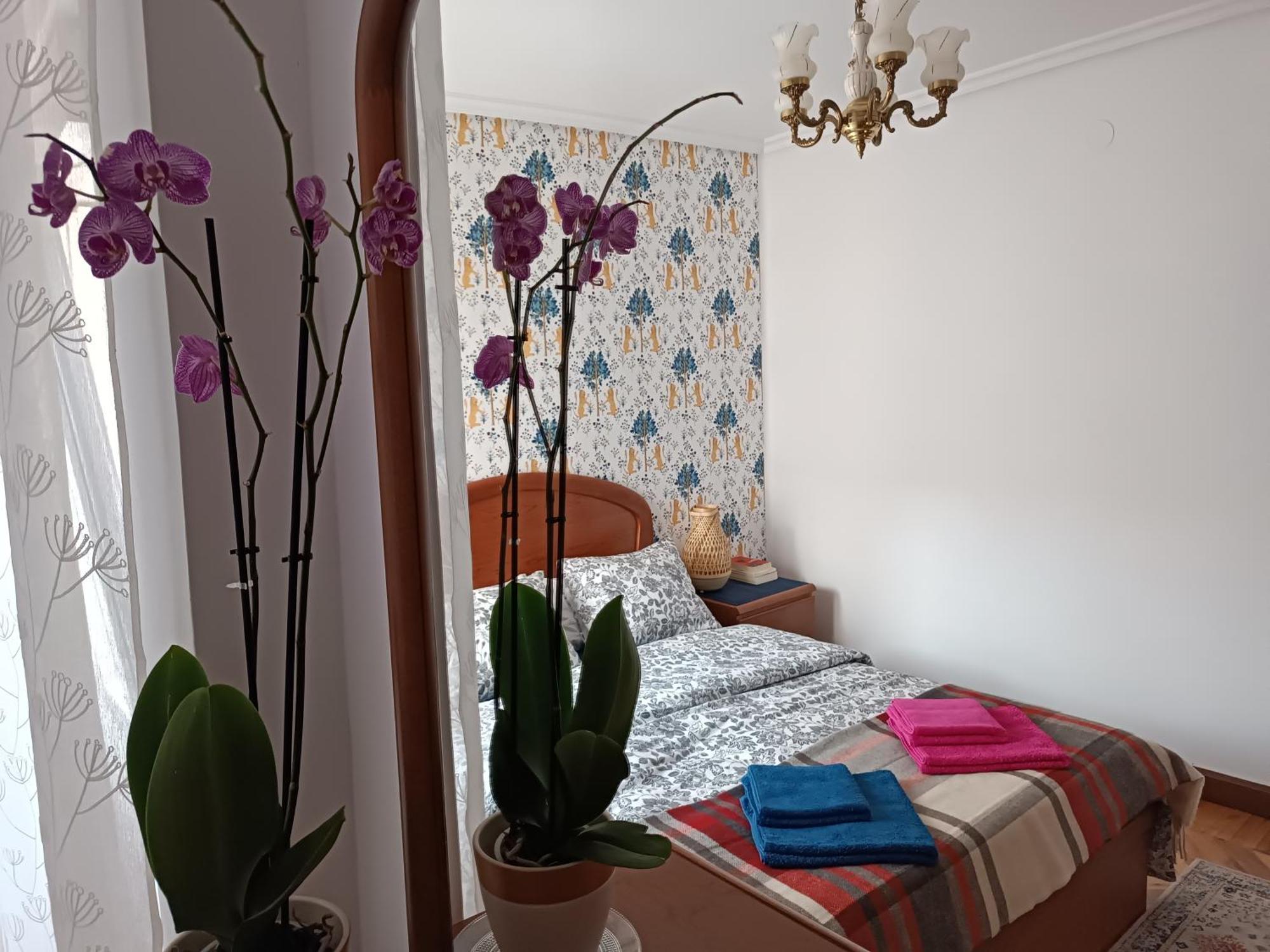 Apartamento Centro. Bahia. Estaciones.