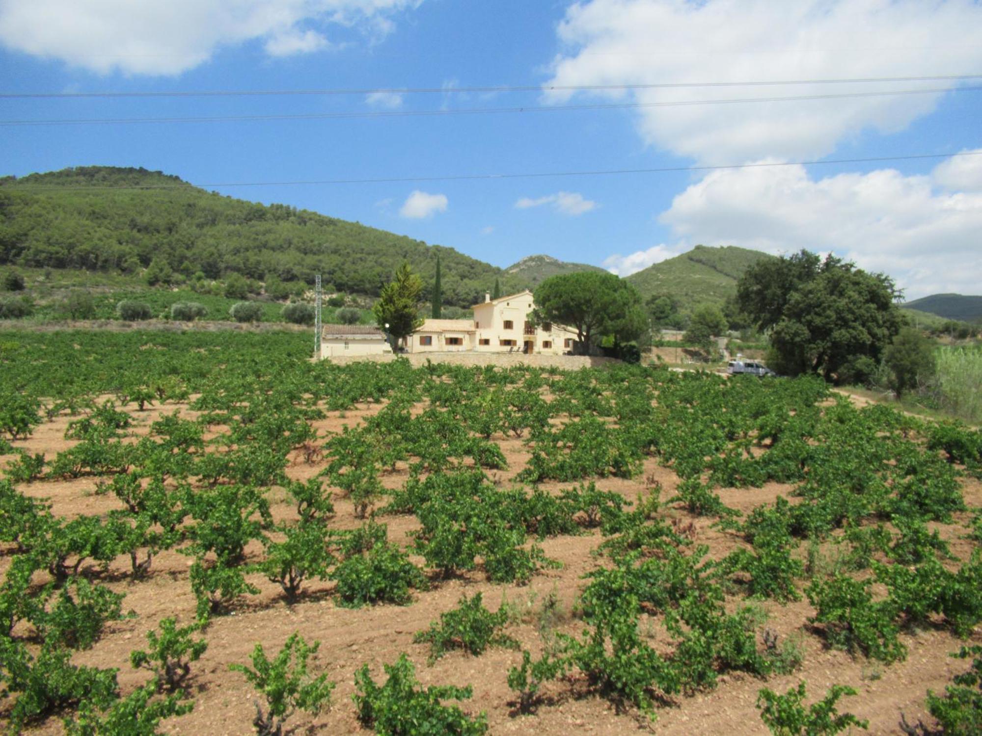 Сasa de vacaciones Cal Marti El Pla de Manlleu