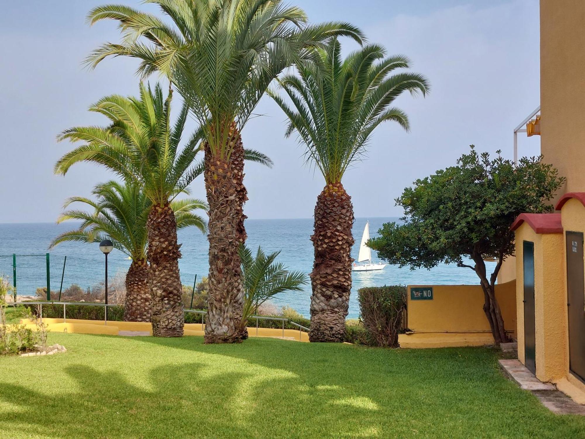 Apartment Alkabir Playa