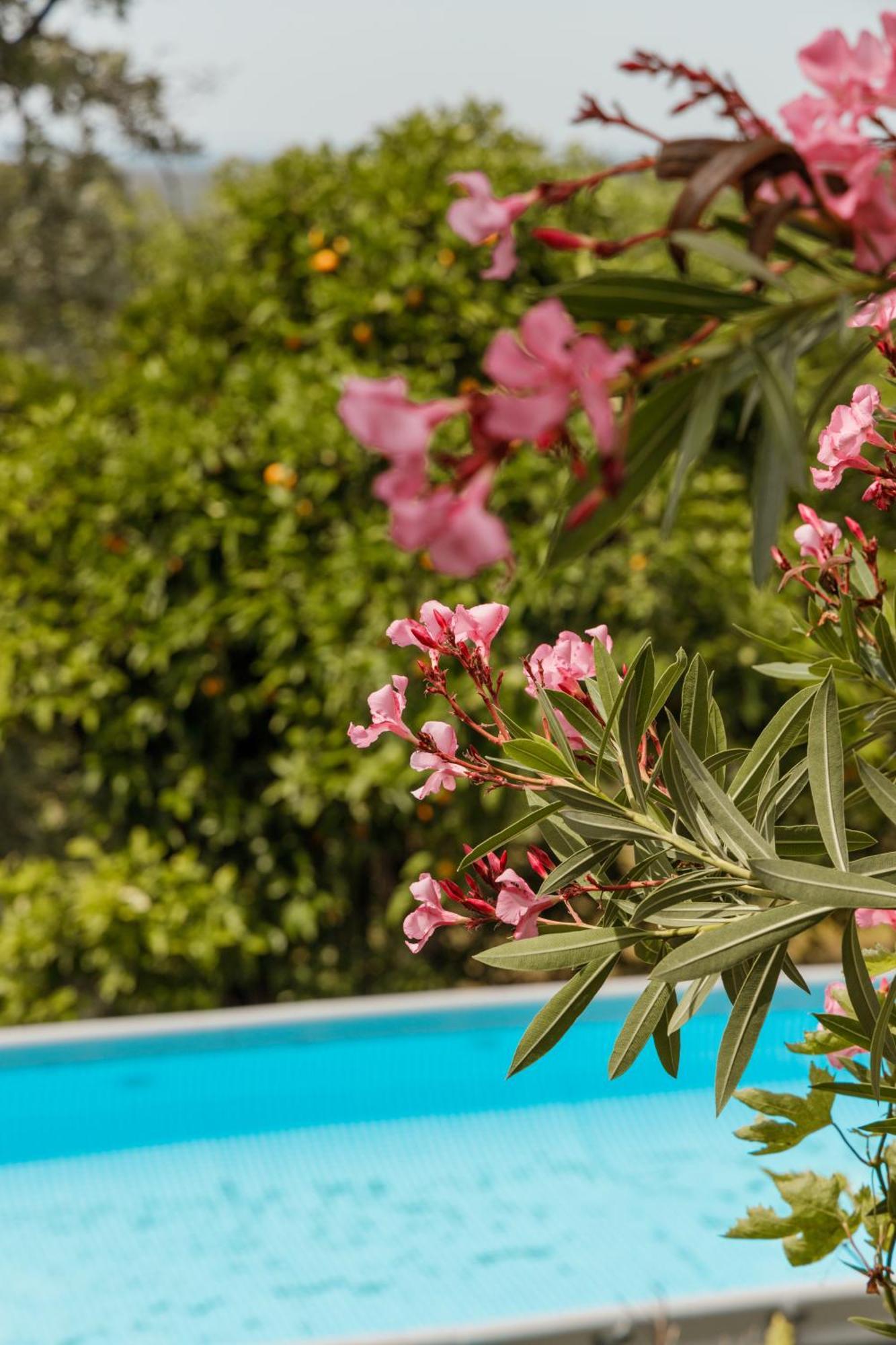 En Con Piscina Y Un Maravilloso Jardin Holiday home