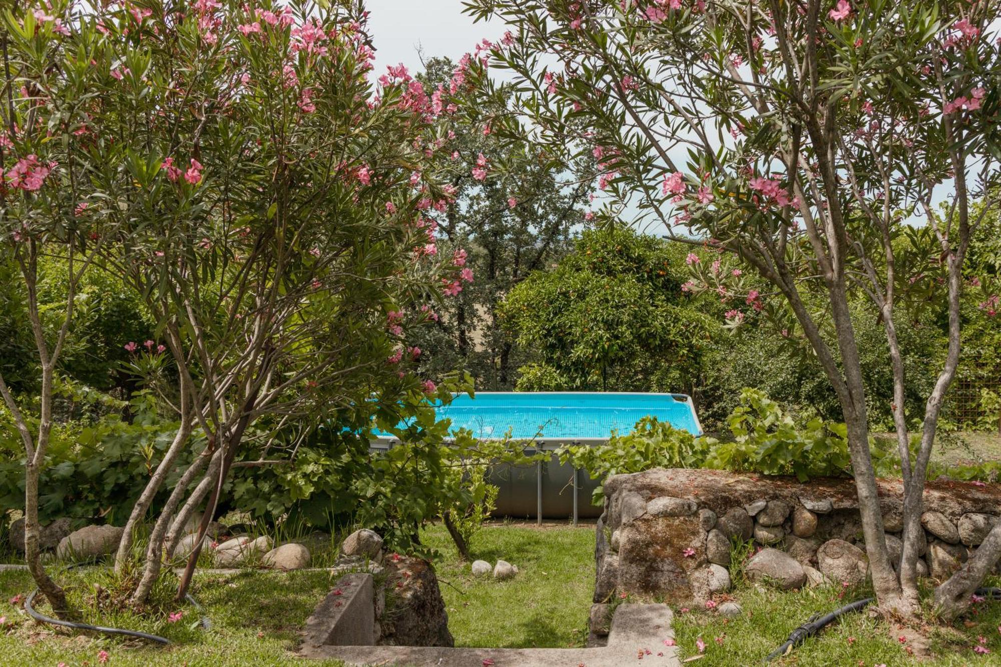 En Con Piscina Y Un Maravilloso Jardin Holiday home Candeleda