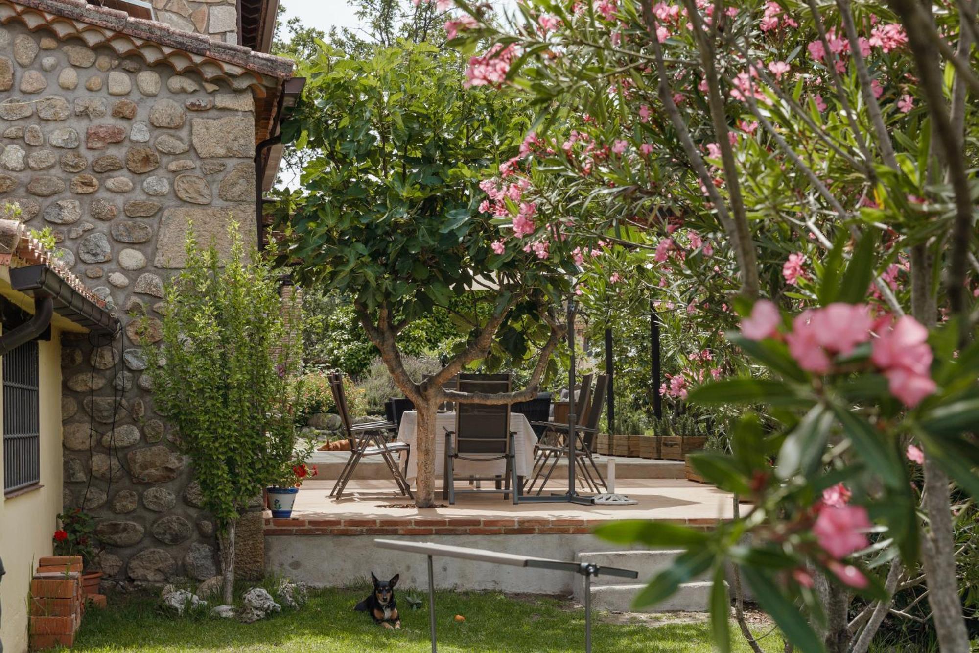 Holiday home En Con Piscina Y Un Maravilloso Jardin *