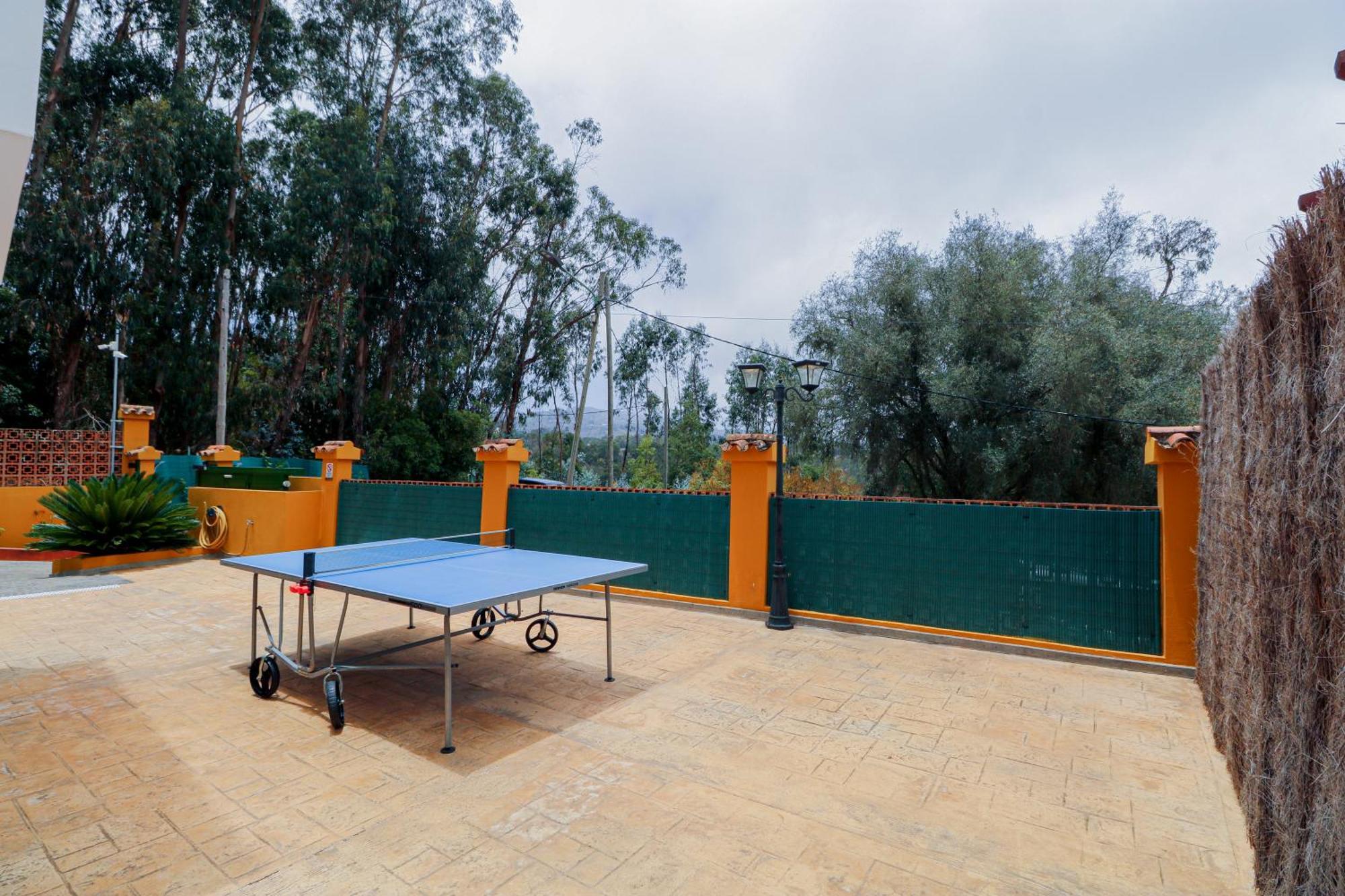 Majestic Mountain With Heated Pool Apartment