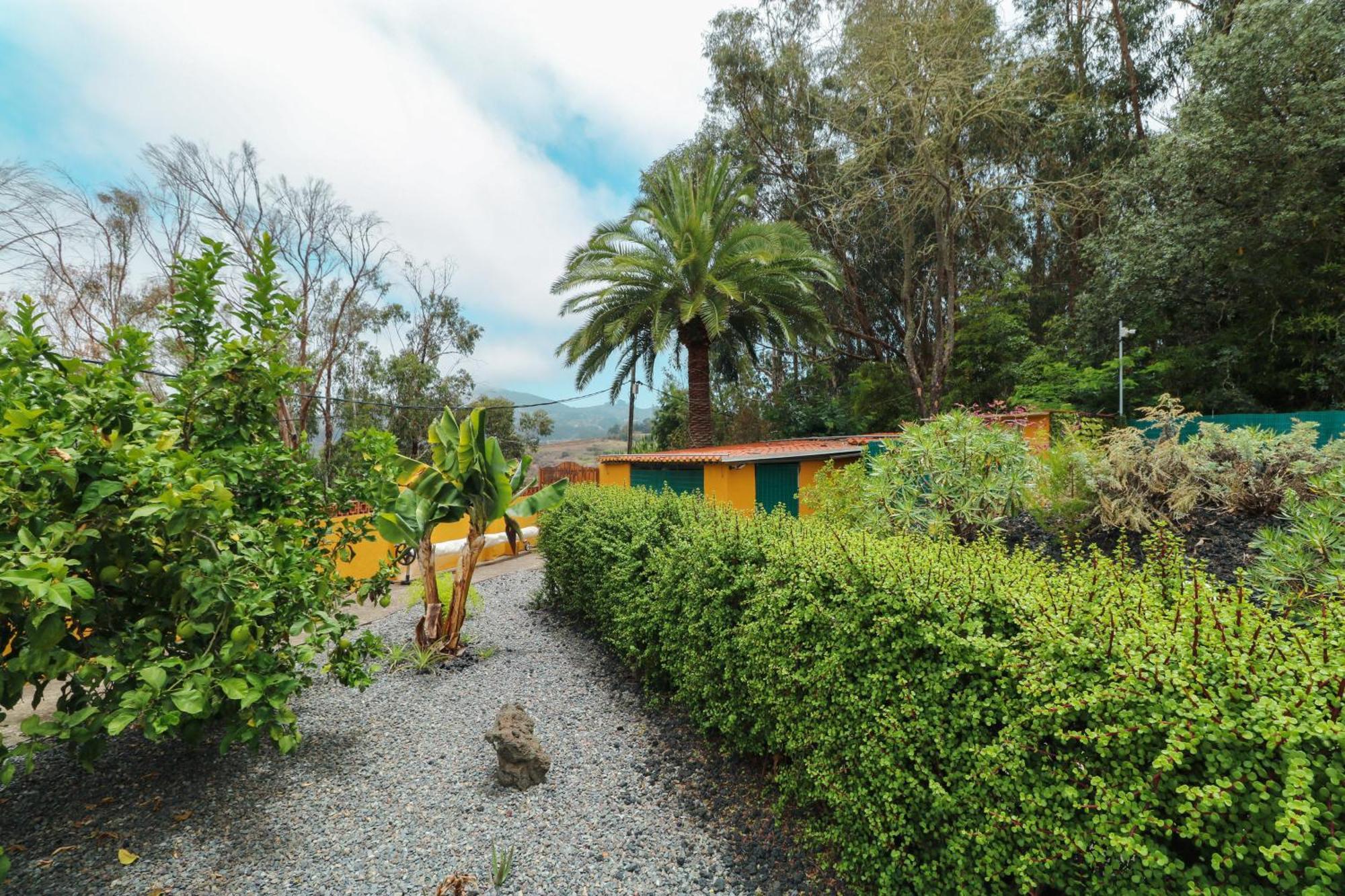 Apartment Majestic Mountain With Heated Pool Moya (Gran Canaria)