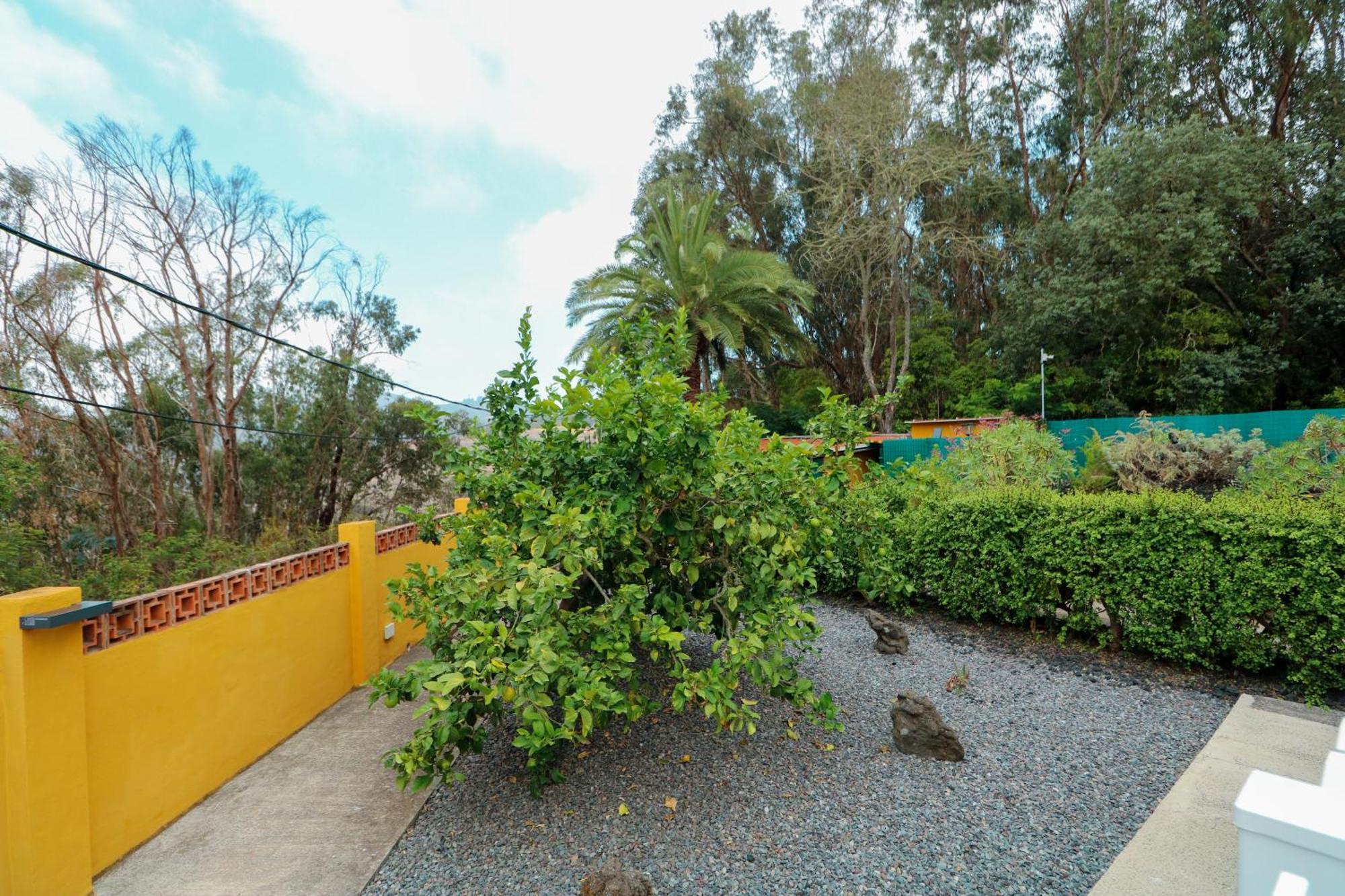 Majestic Mountain With Heated Pool Apartment
