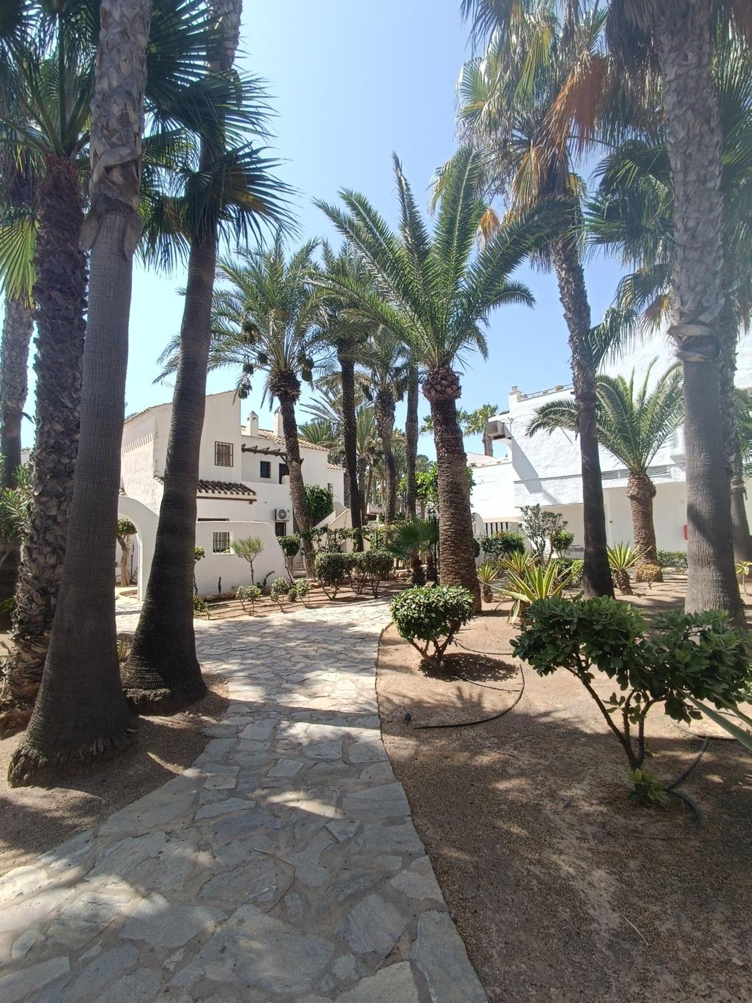 Mangos Apartamento *