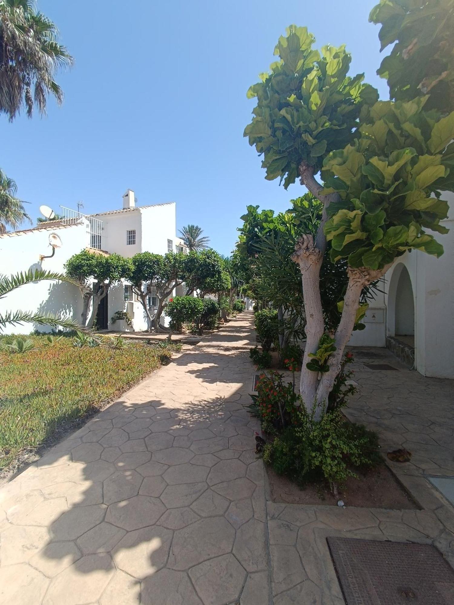 Mangos Apartamento *