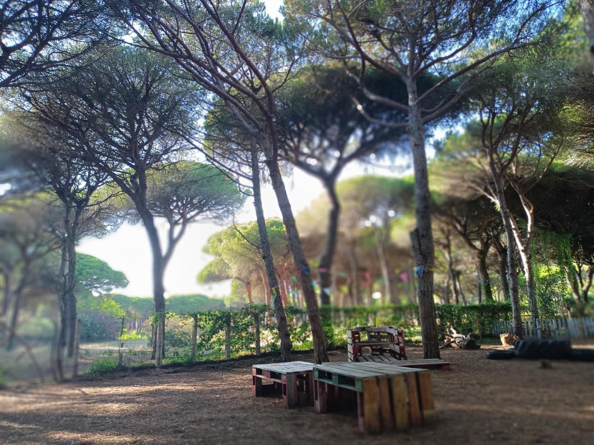 Holiday home The Pineforest Chiclana de la Frontera