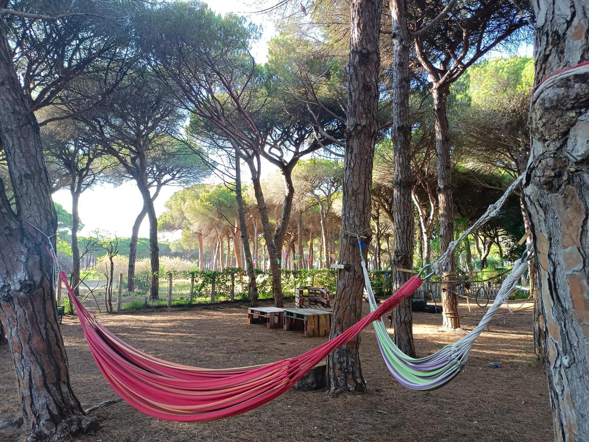 The Pineforest Chiclana de la Frontera