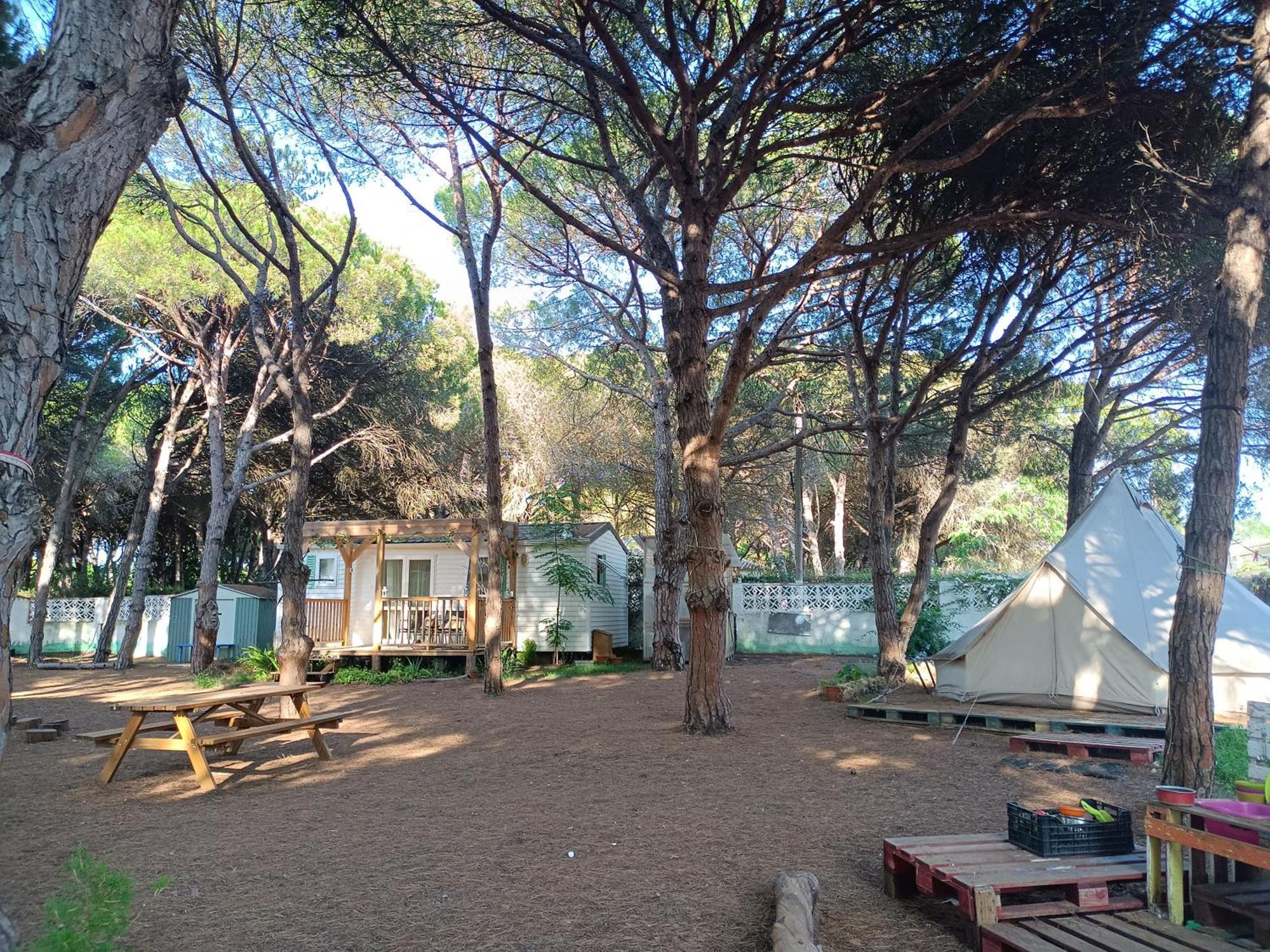The Pineforest Holiday home