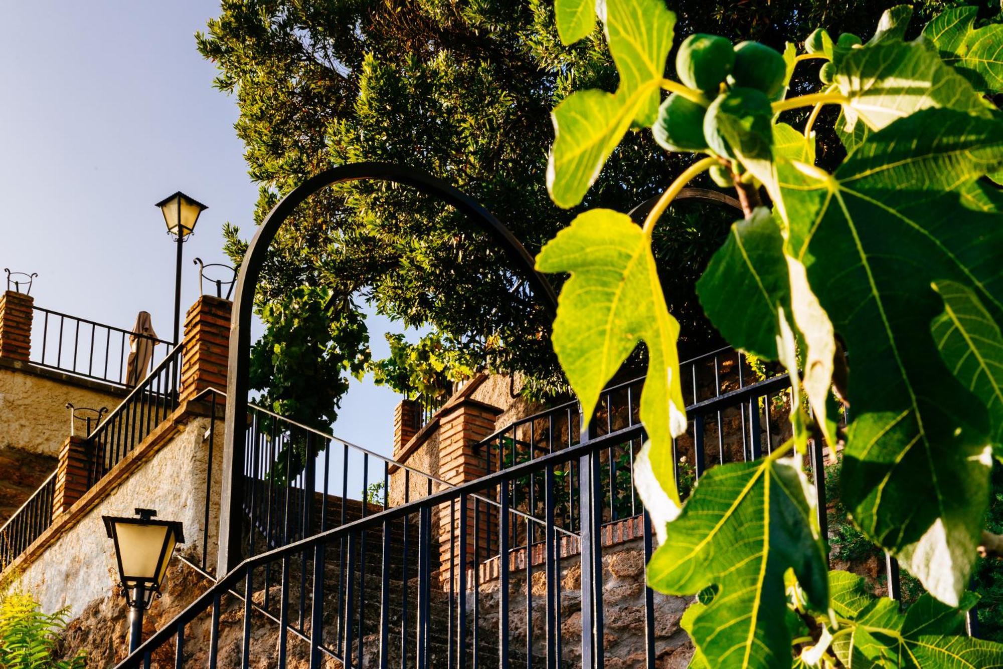 Holiday home La Atalaya *
