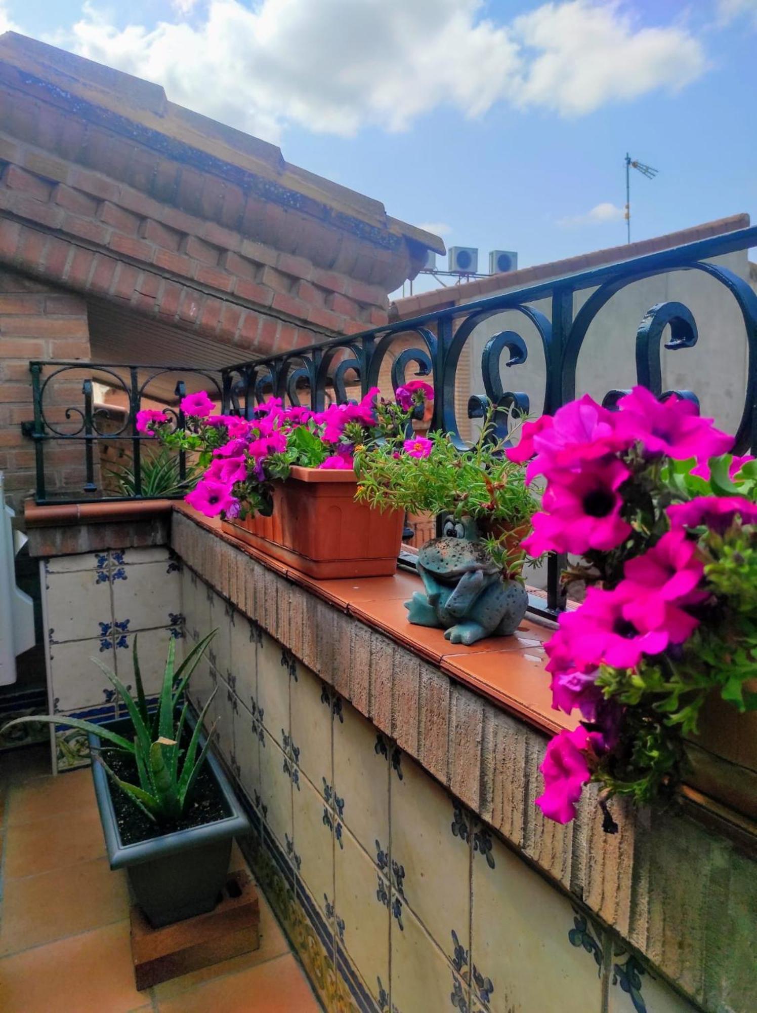 Guest house La Cepa Aldeanueva de Ebro