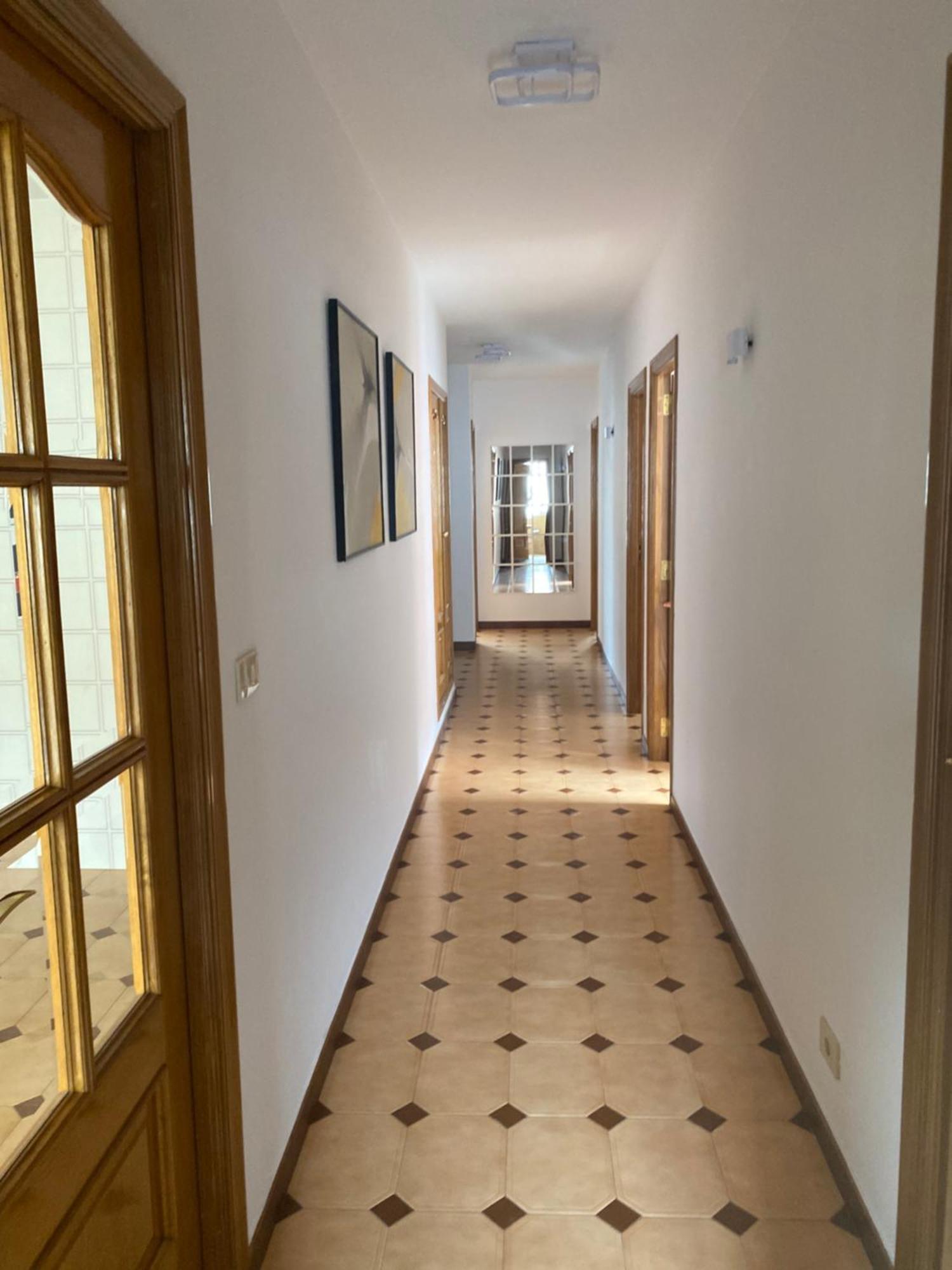 Grande Y Luminoso Apartamento Palmeira