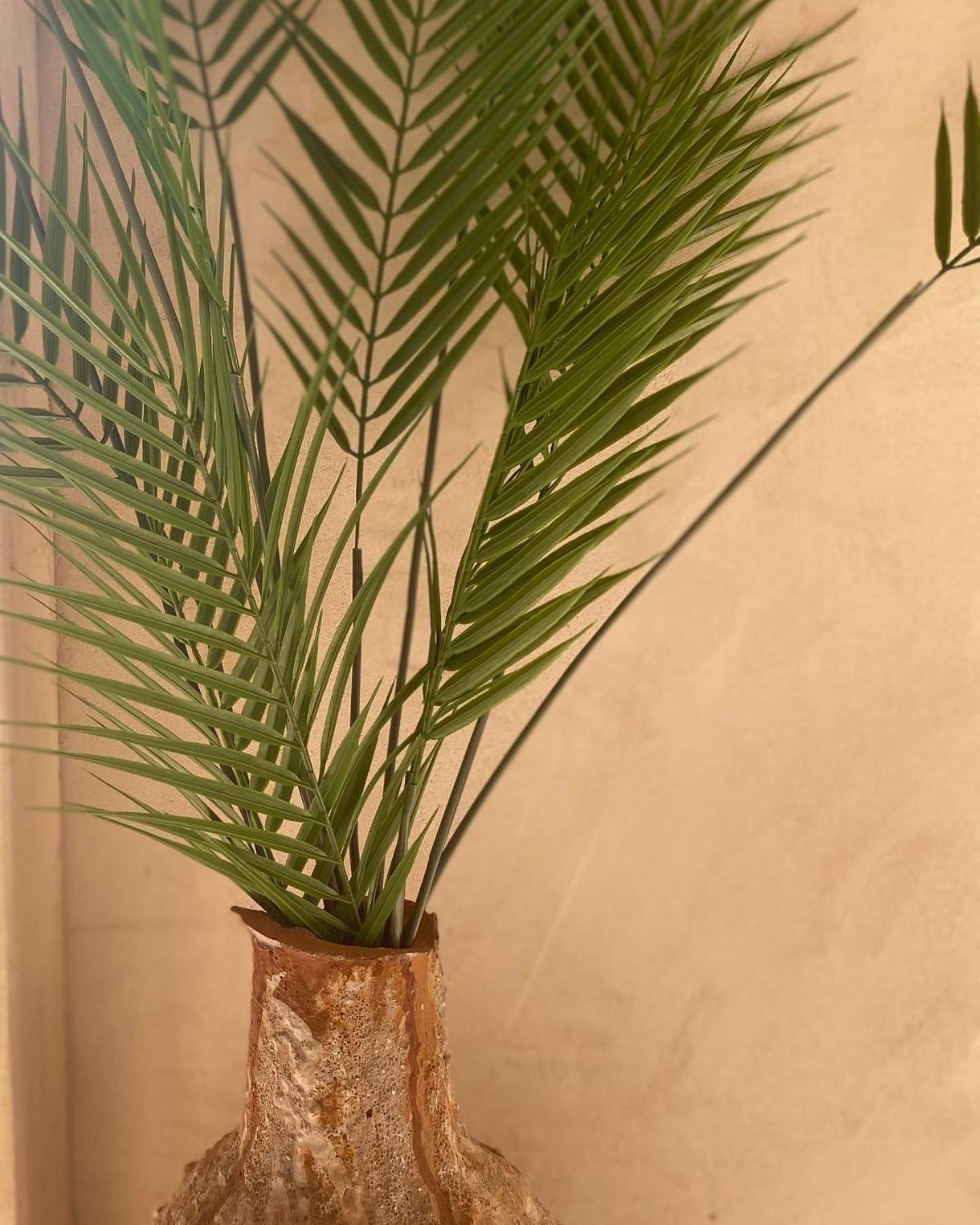 Apartamento Turísticos Carmencita *