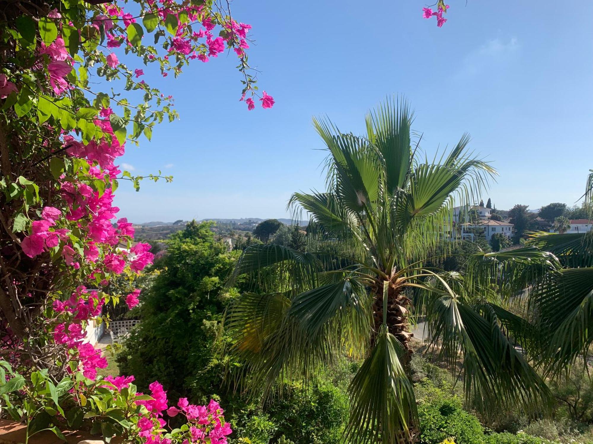 Bed & Breakfast Casa Hermosa *