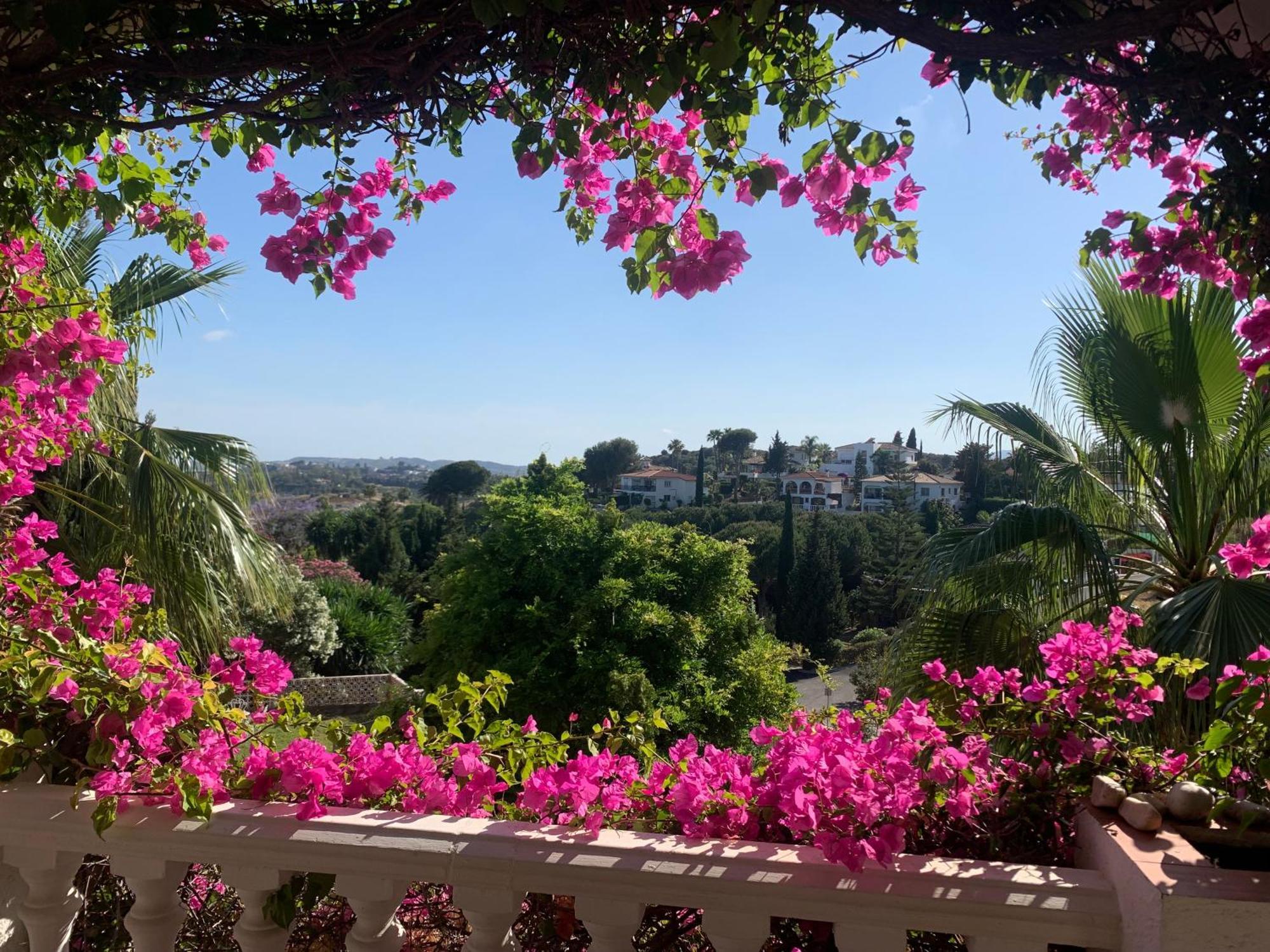 Casa Hermosa Bed & Breakfast
