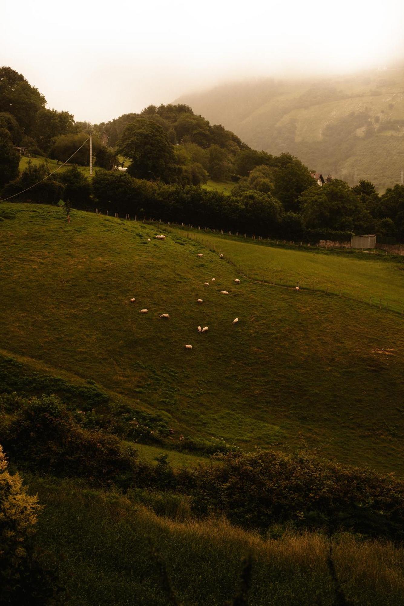 Casa rural Baiolei Azpeitia