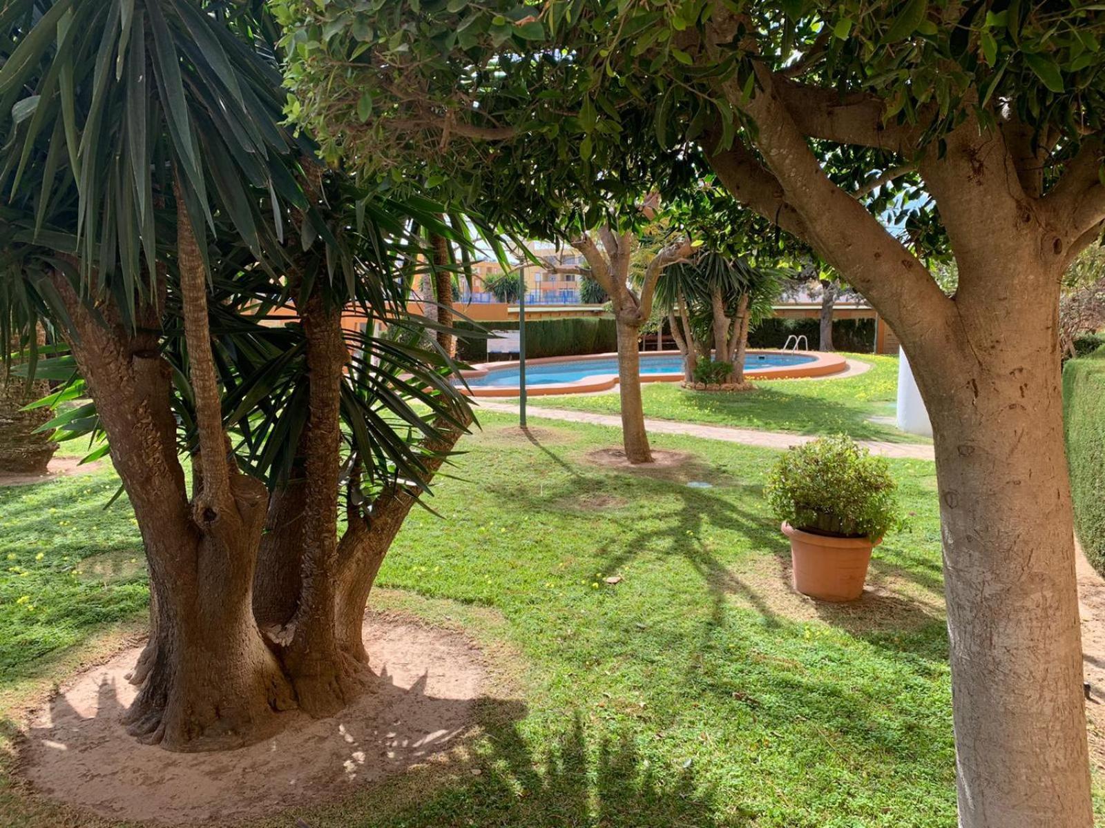 Apartamento Apartamento De 3 A 100 M De La Playa Del Arenal, Javea *