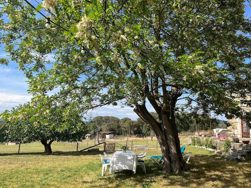 Holiday home Llorens