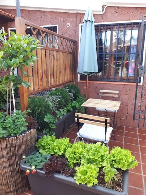 Tranquilo En Casa Con Jardin * La Laguna (Tenerife)