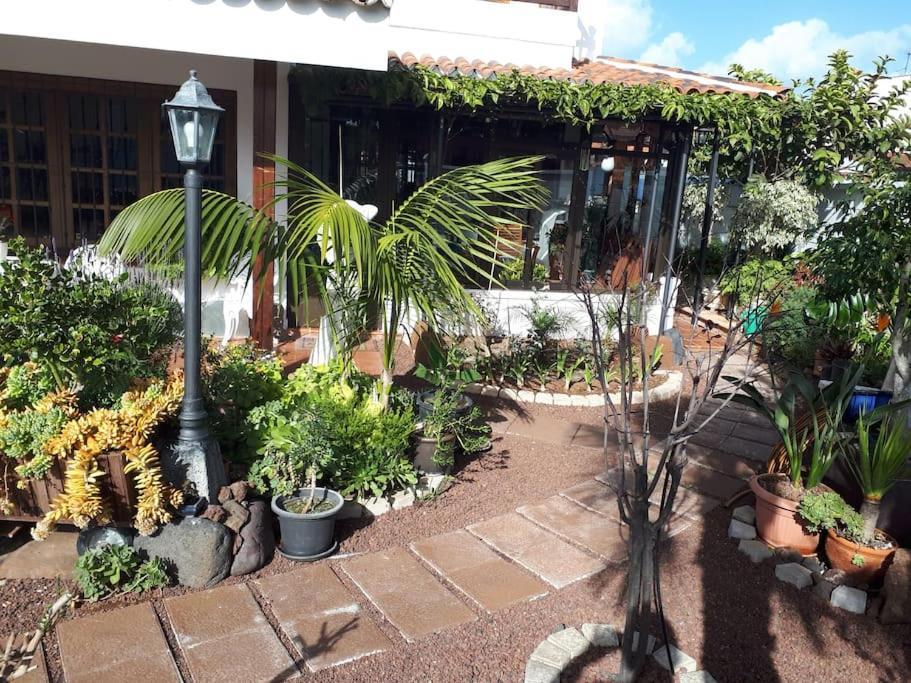 Tranquilo En Casa Con Jardin Apartamento *