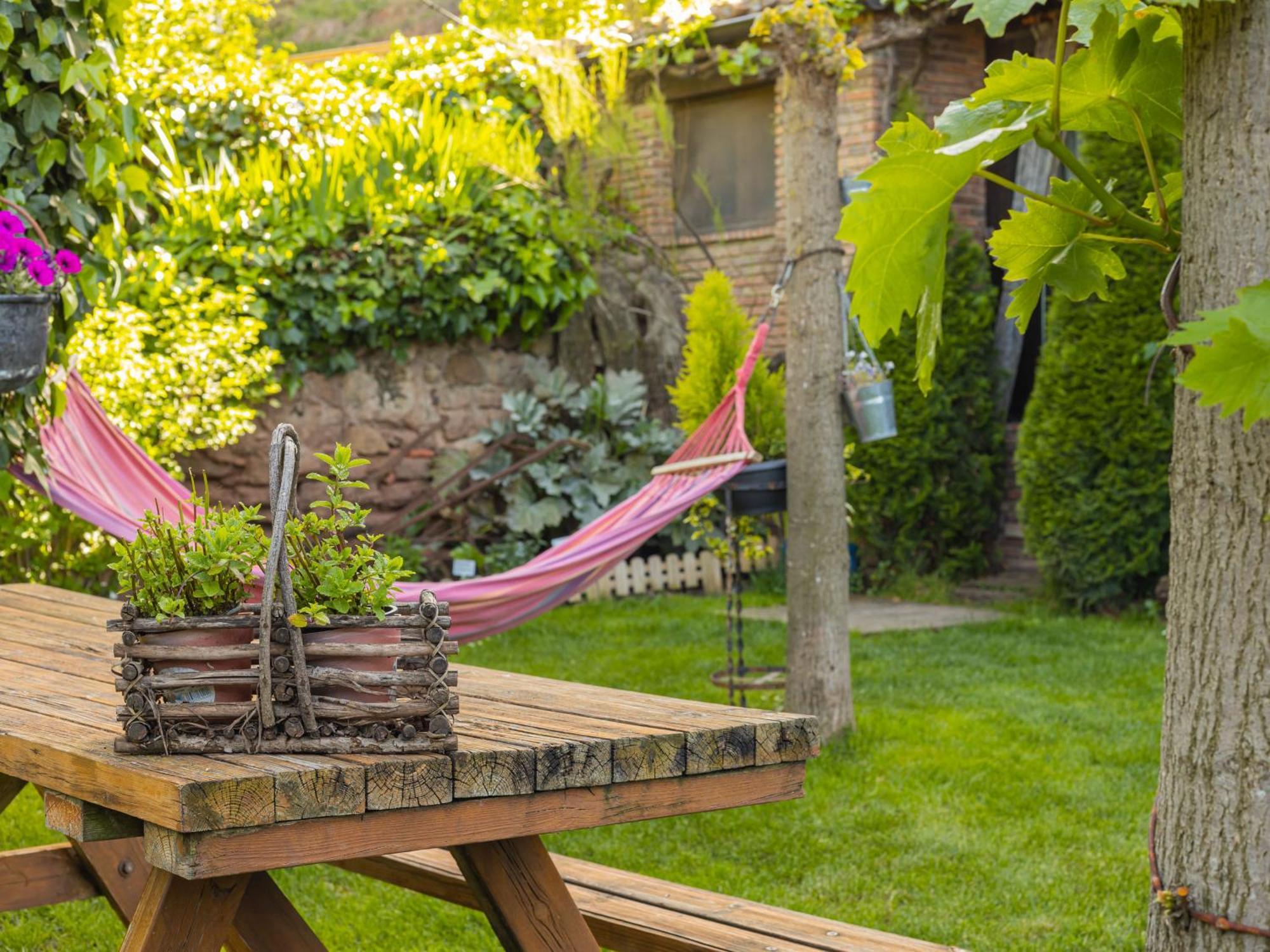 Loft & Garden *
