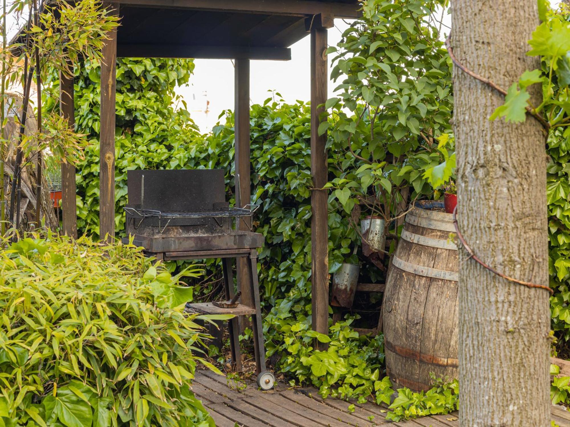 Loft & Garden *