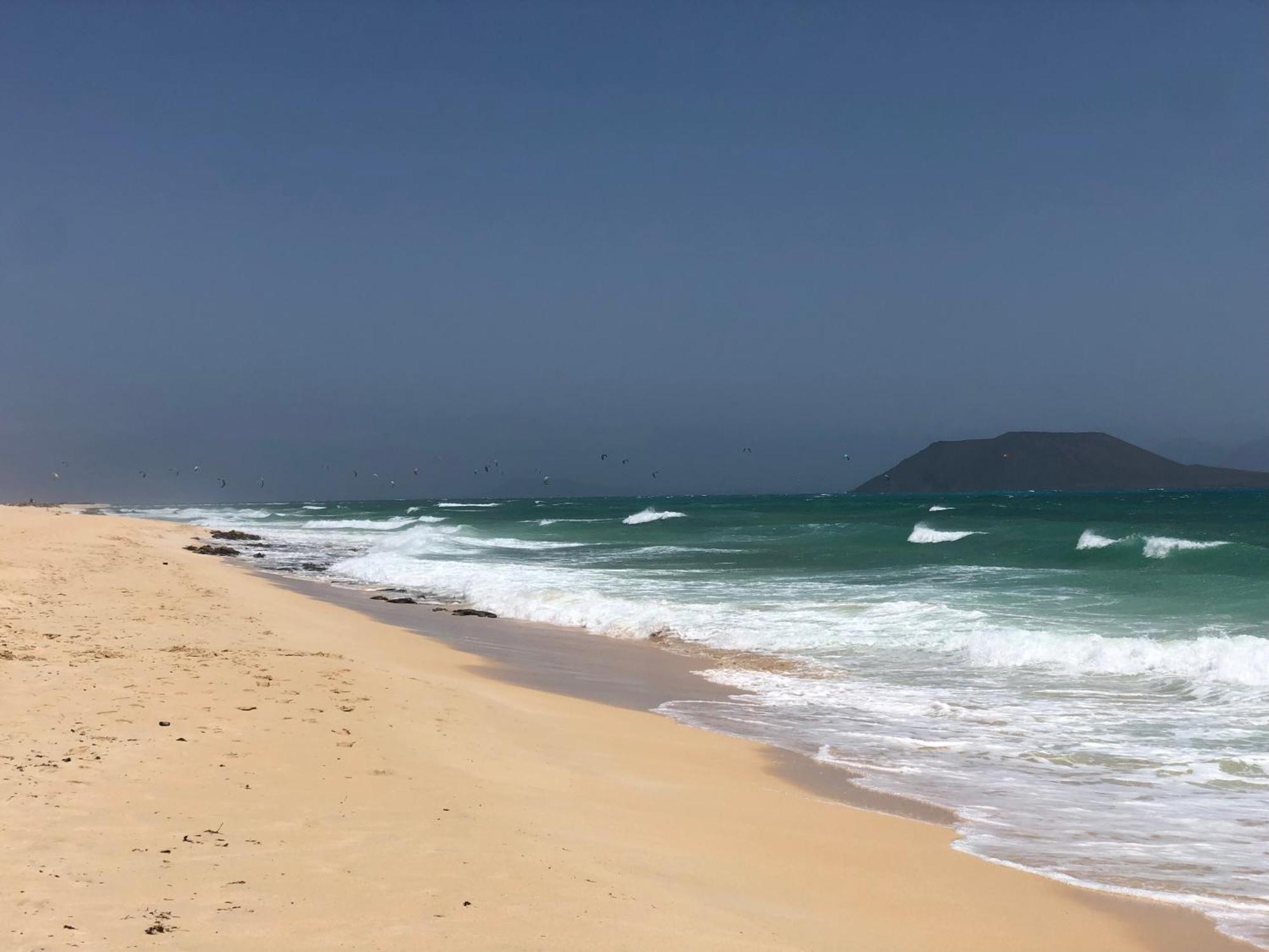 Aulaga * Villaverde (Fuerteventura)