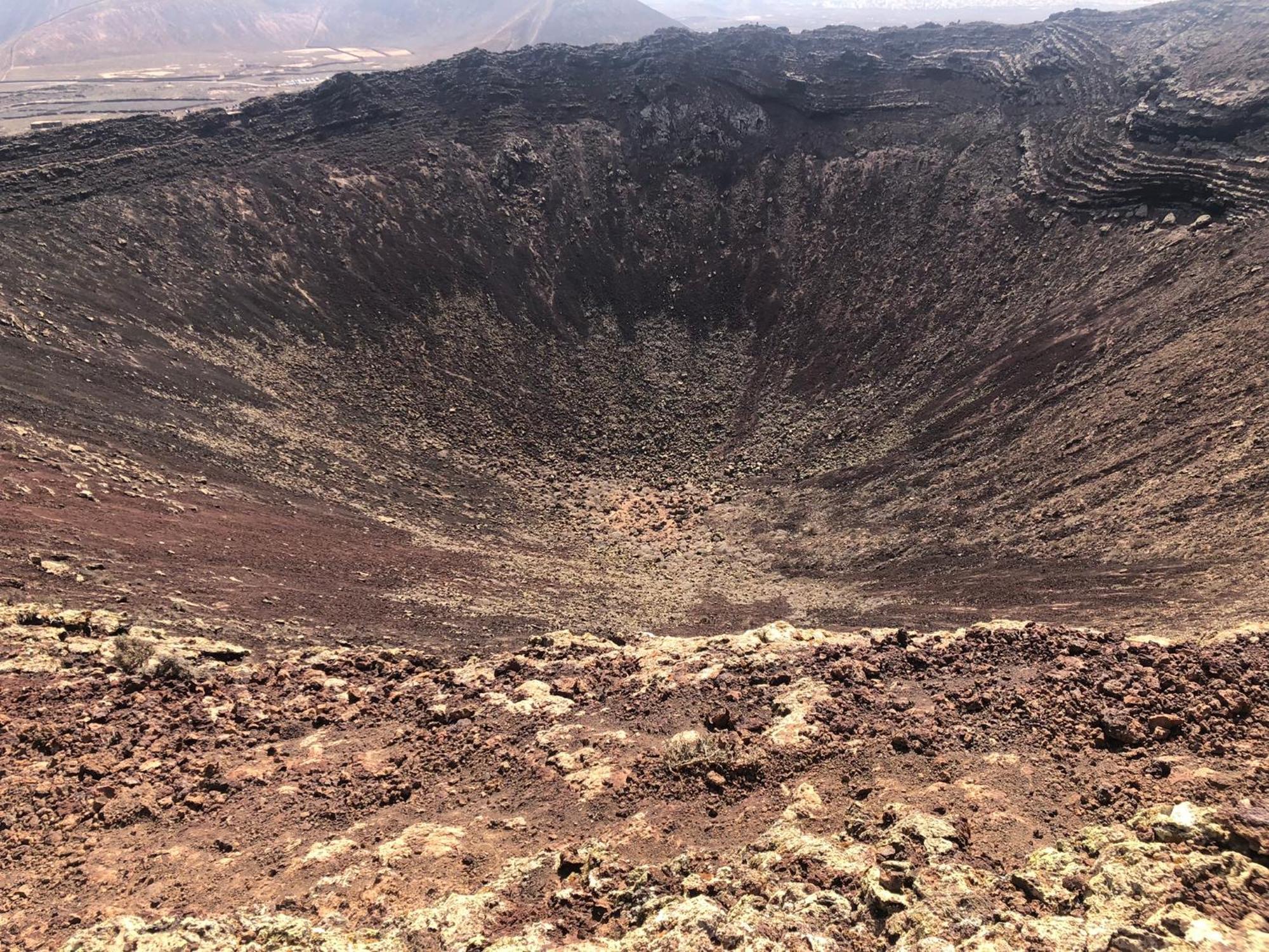 Aulaga Villaverde (Fuerteventura)
