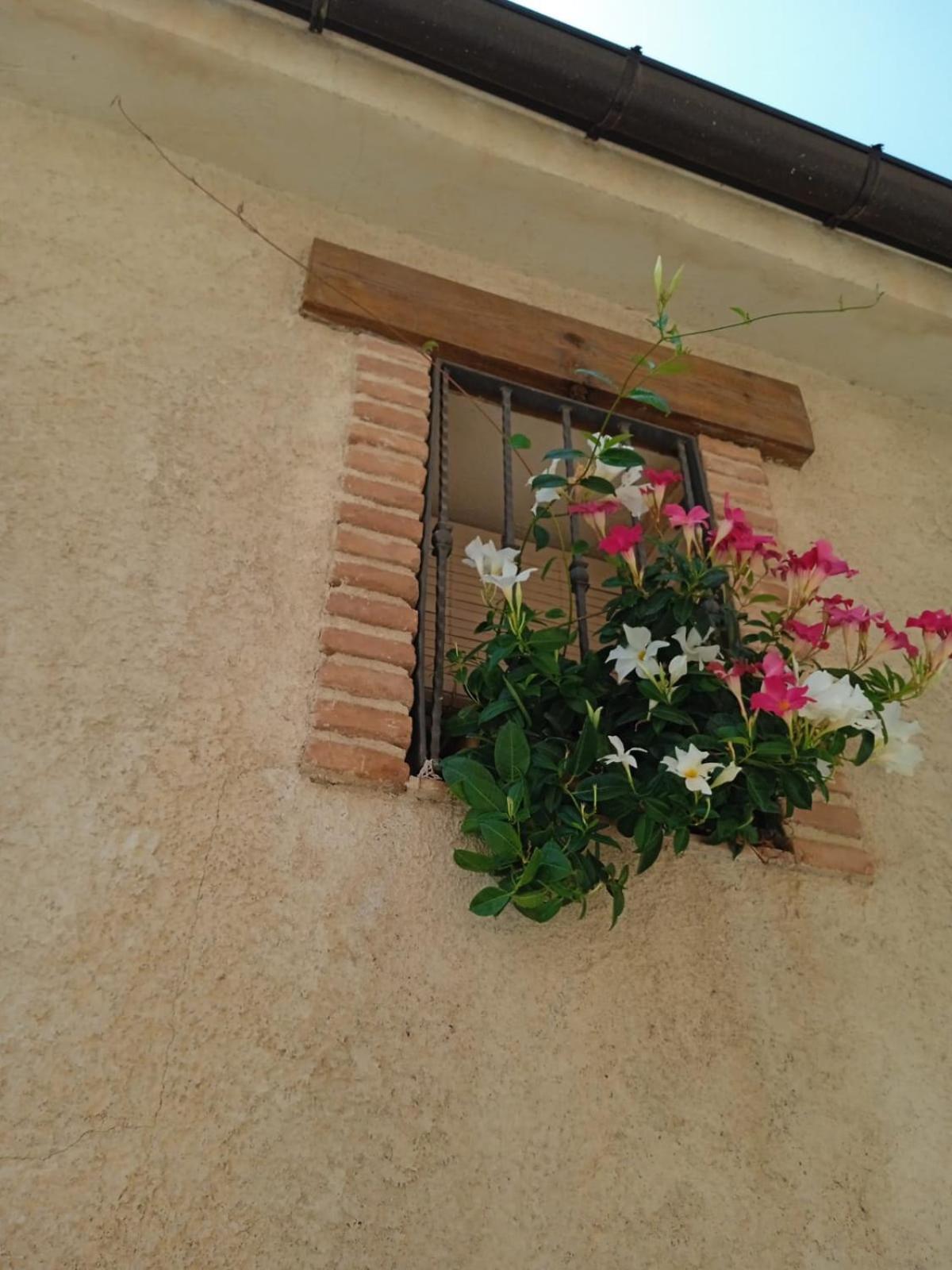Apartamento Cal Tom *