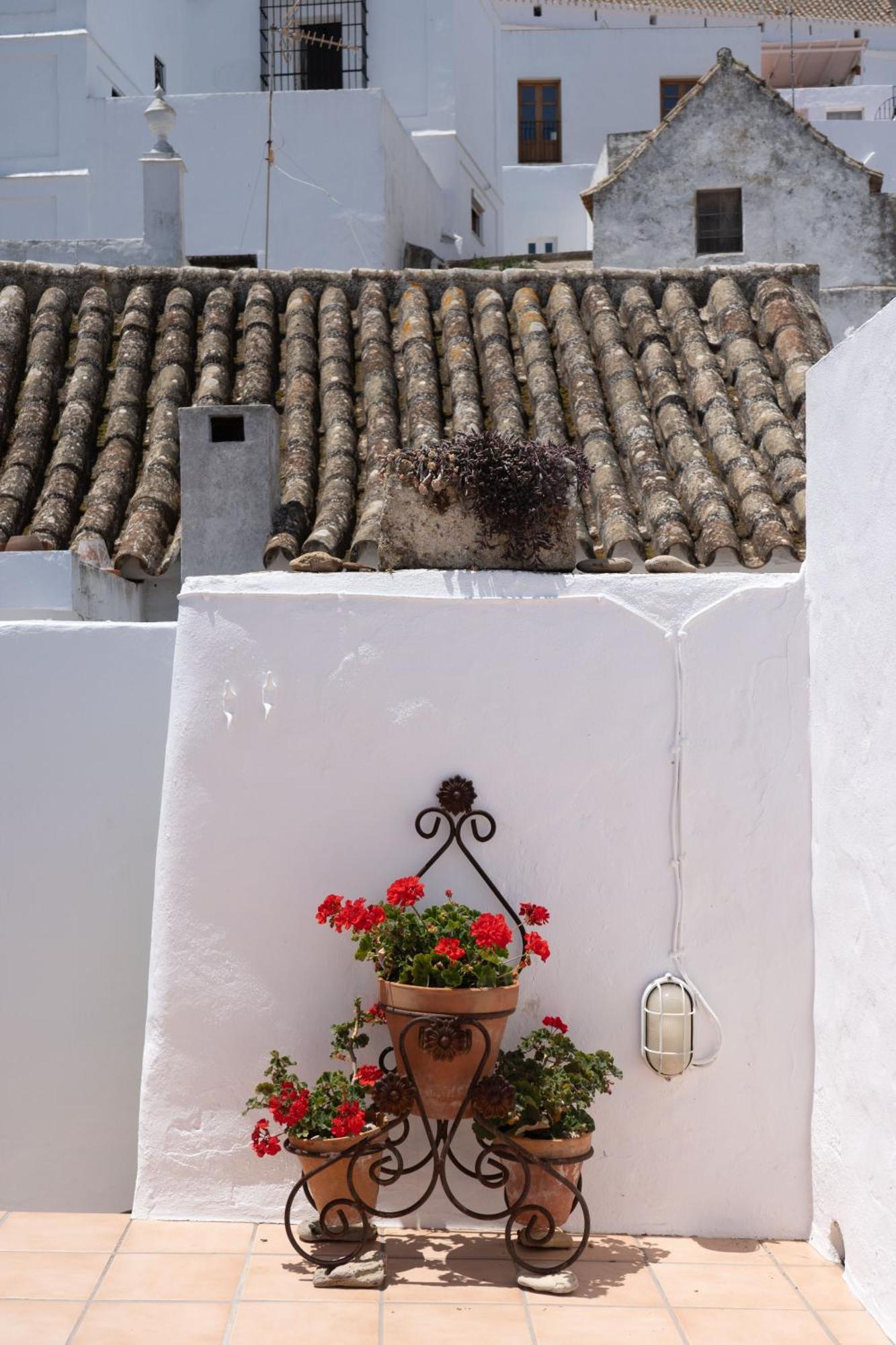 Apartamento Casa Naranja - Califa Casas Vejer