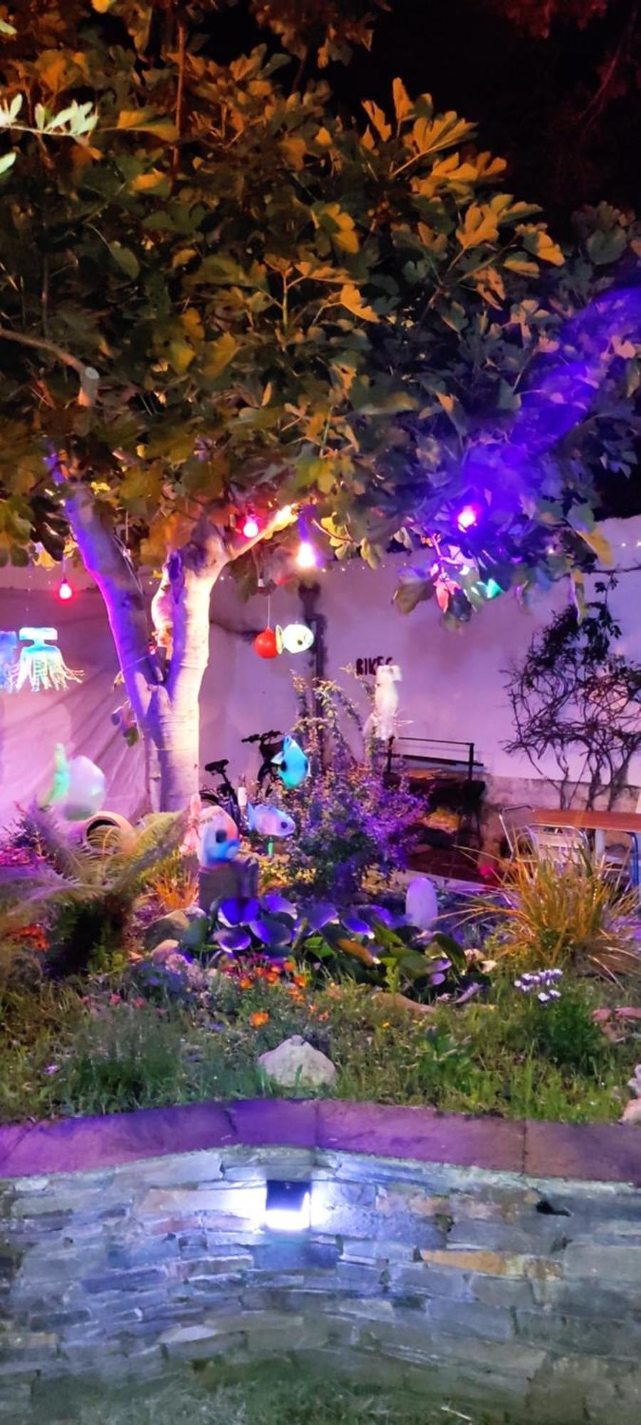 Hostel Namor
