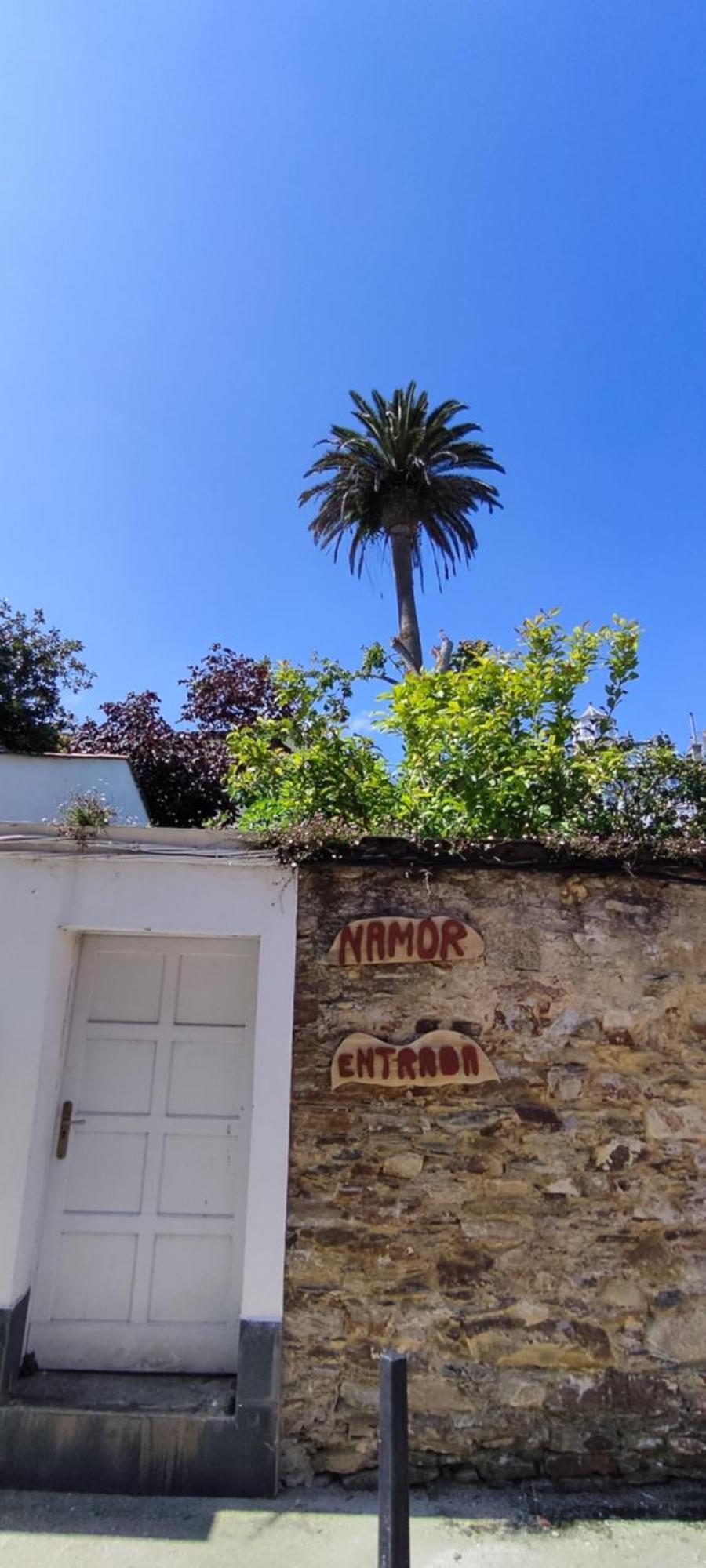 Hostel Namor