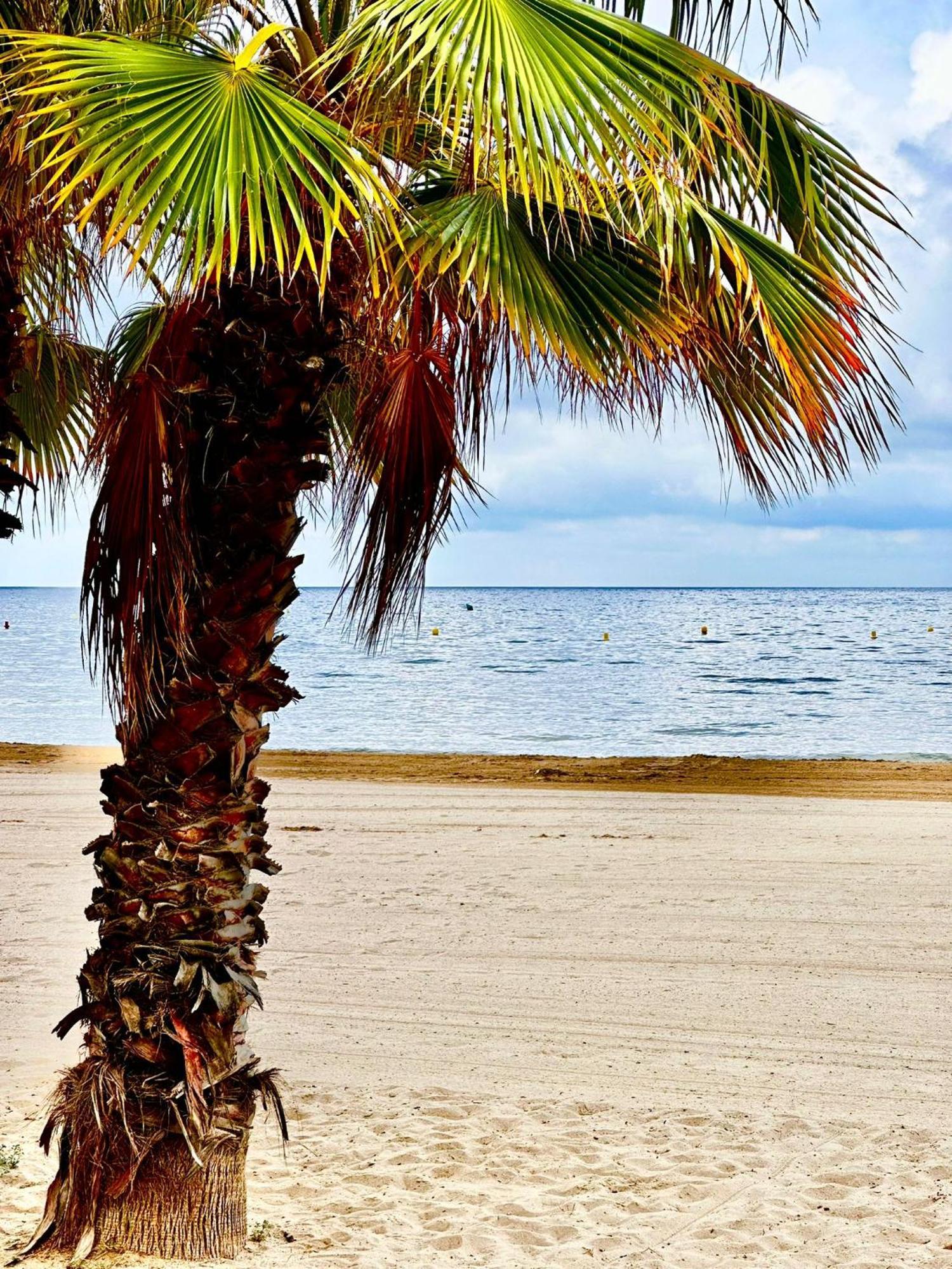 Apartamento Apartbeach Jazmin Climatizado Junto Playa *