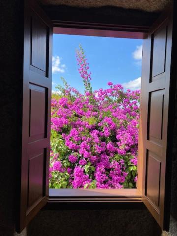 Eido Do Rei - Hospedaxe Rural Guest house *