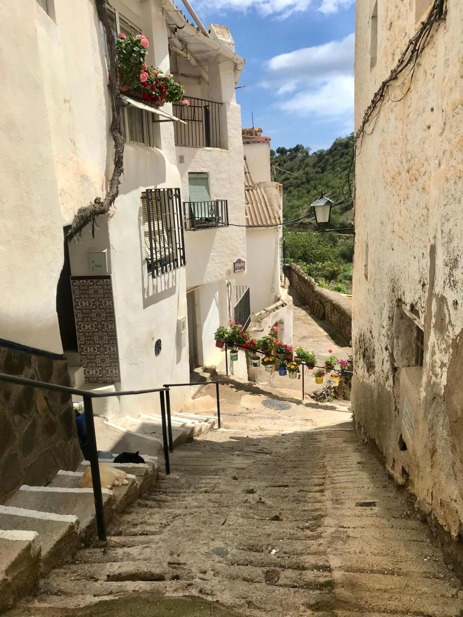 Casa Amigos - La Vina