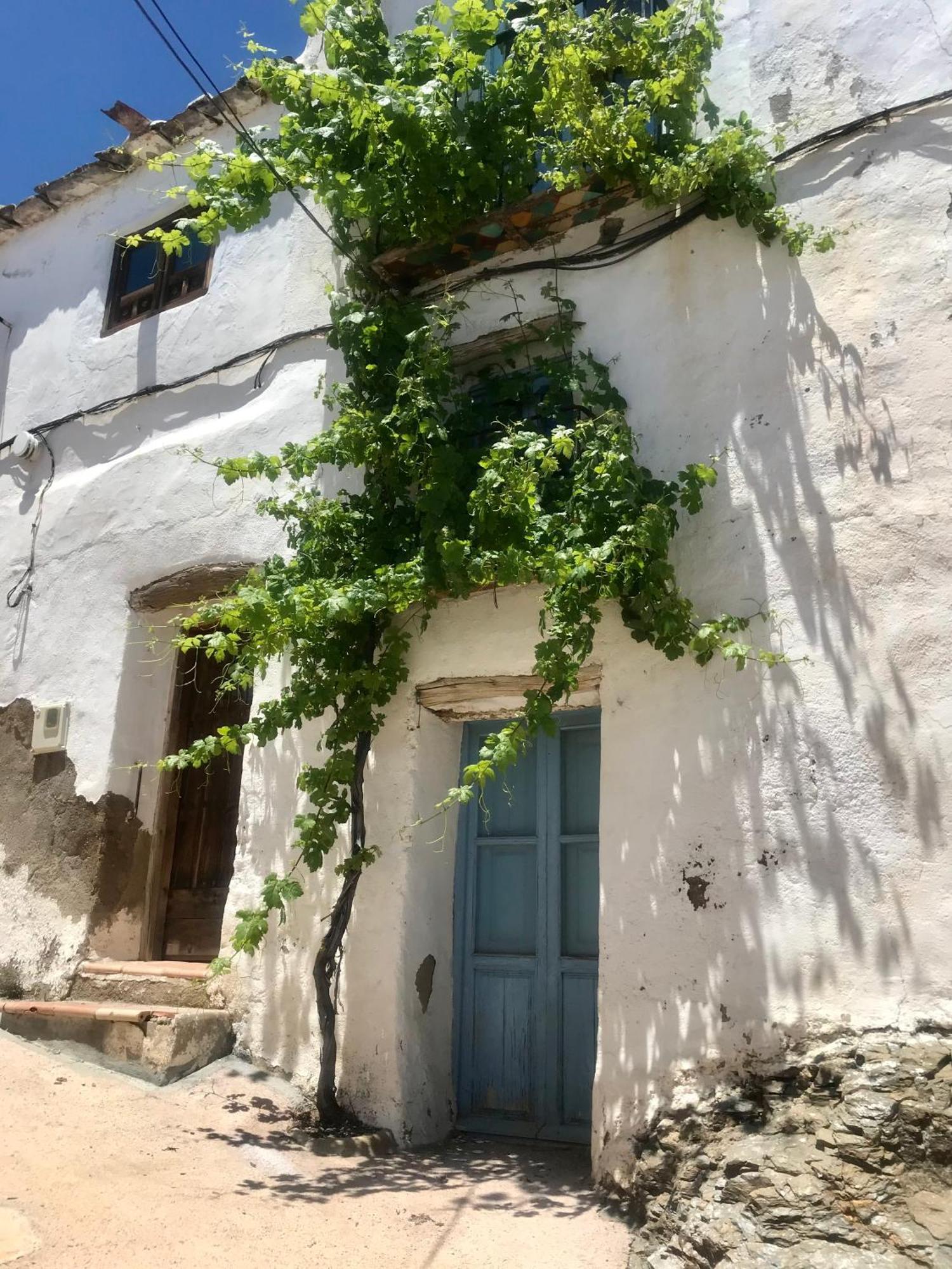 Casa Amigos Sorvilan- La Palmera Sorvilan