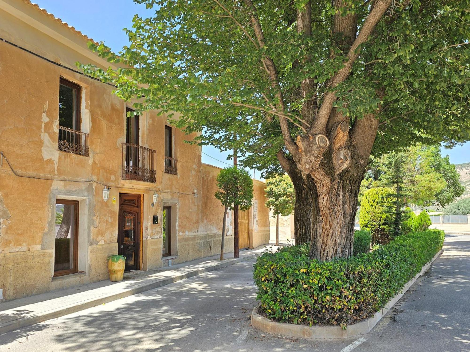 Casa Rodriguillo Pinoso