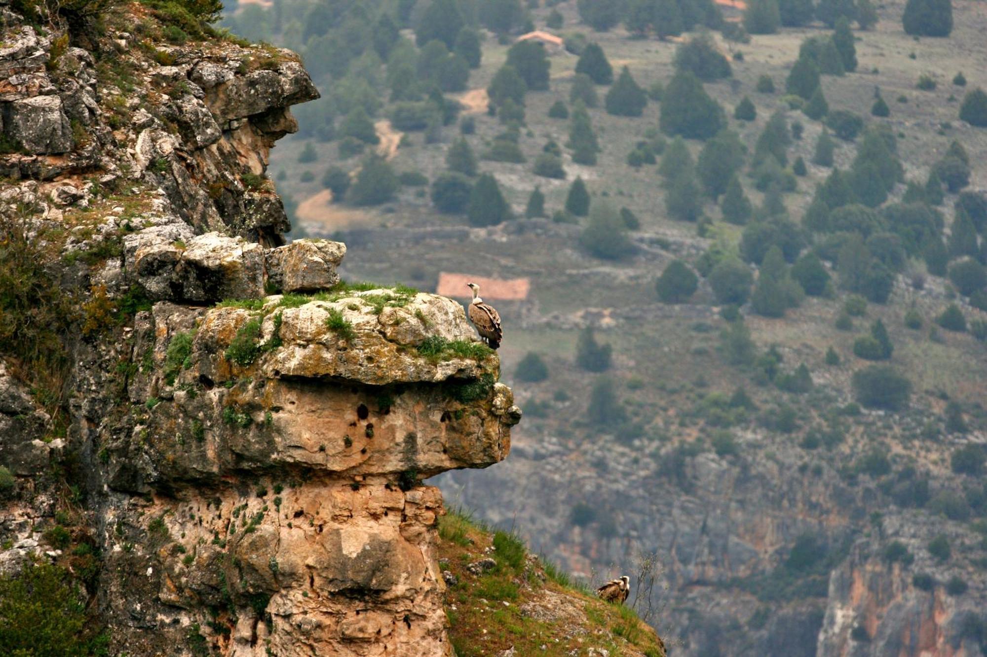 Chalet Casaguapa Alto Tajo Armallones