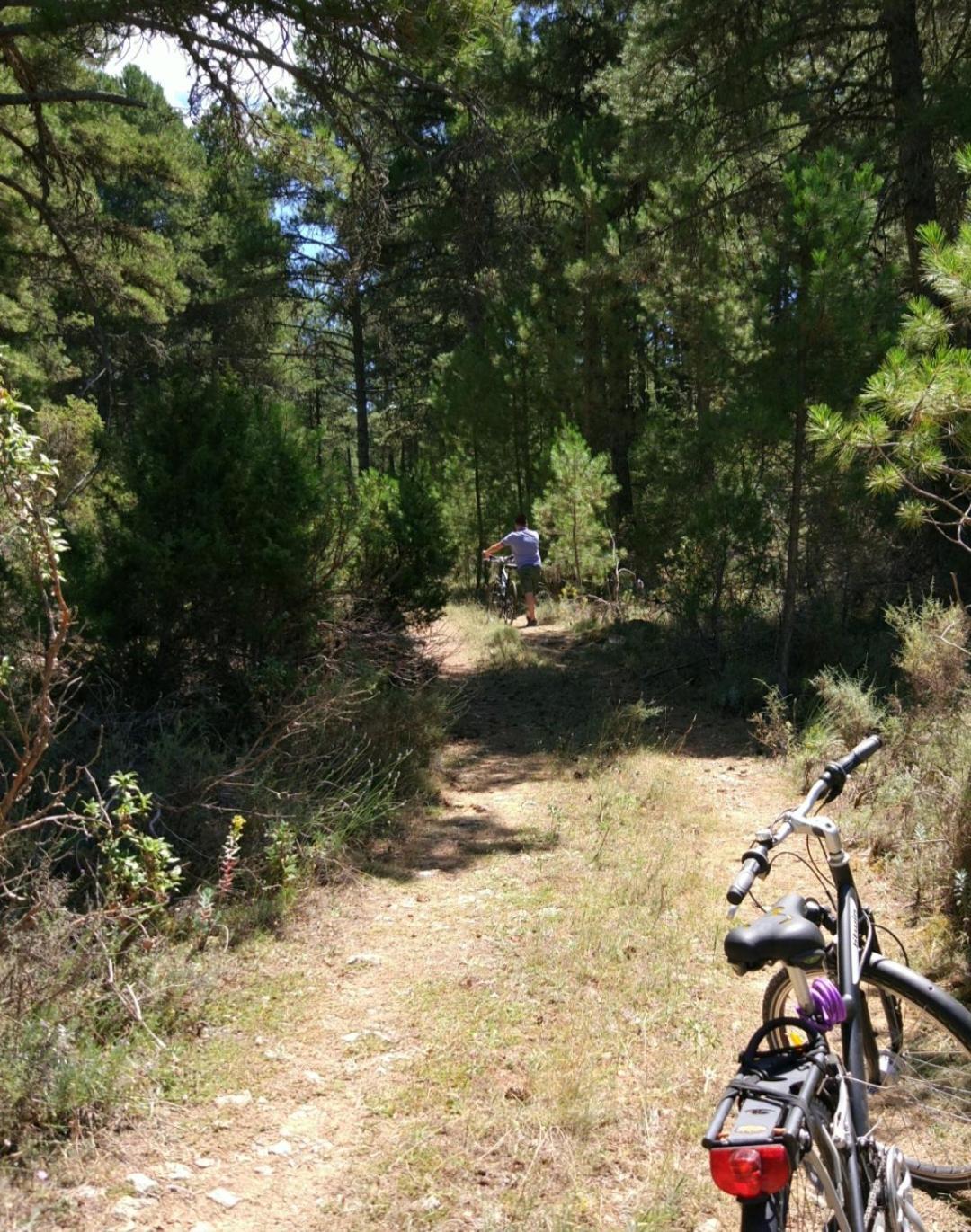 Chalet Casaguapa Alto Tajo