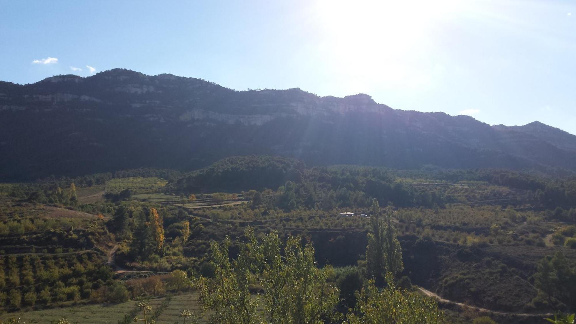 Montsant Park & Camping