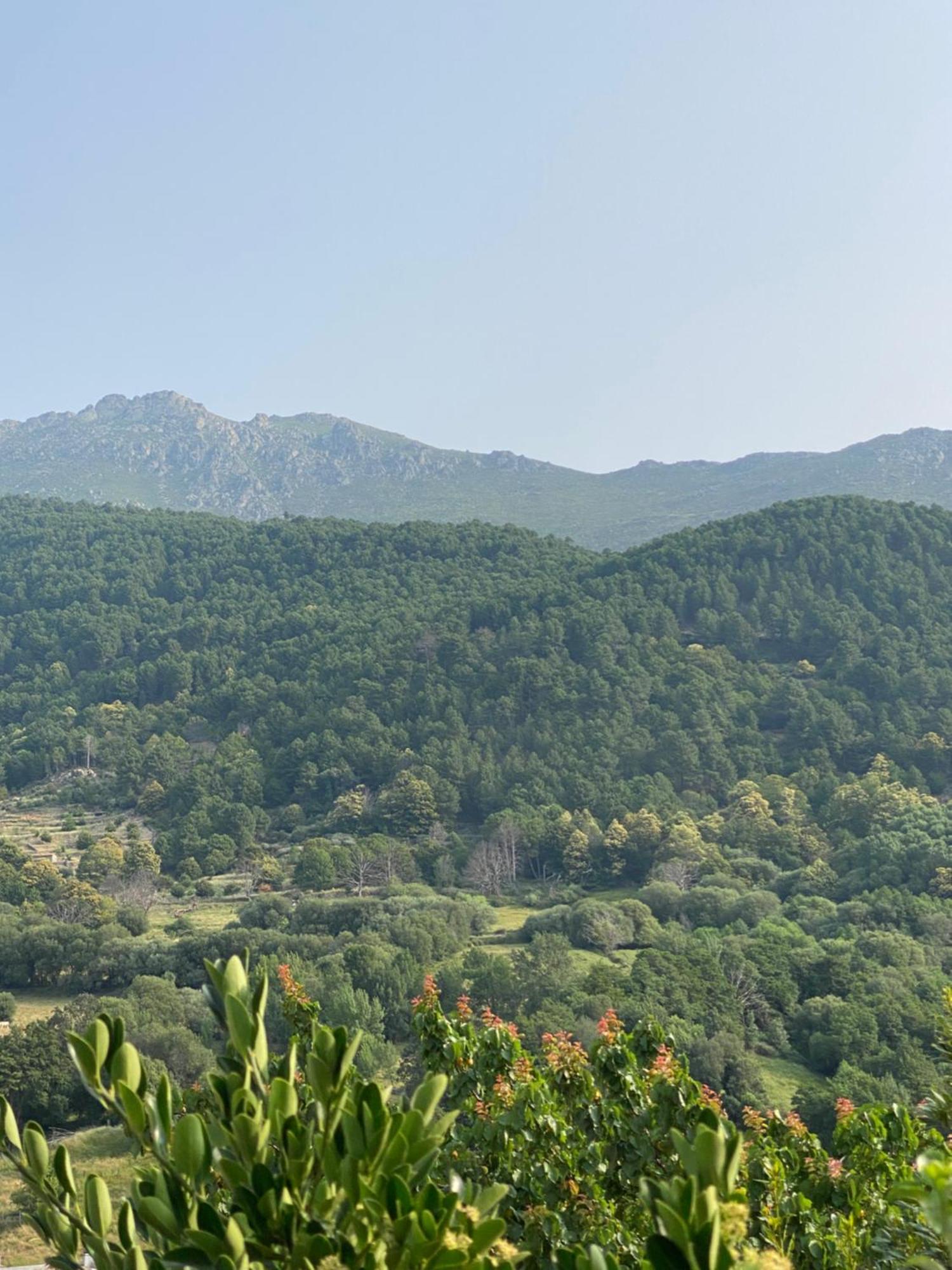 Holiday home El 42 Mijares (Castile and Leon)