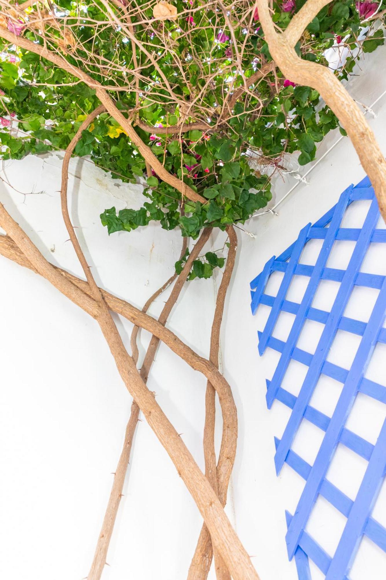Casa Marinero - Patio Andaluz Holiday home Barbate