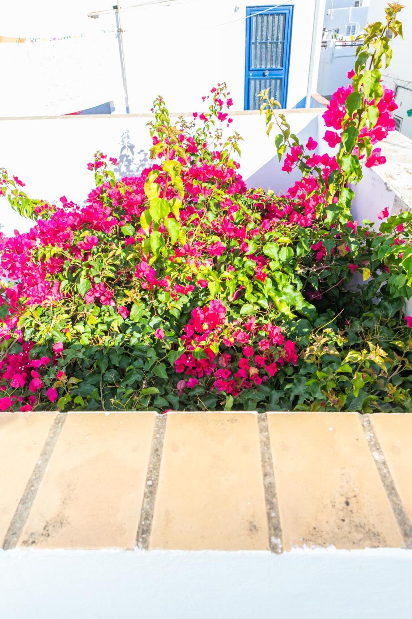 Casa Marinero - Patio Andaluz Holiday home