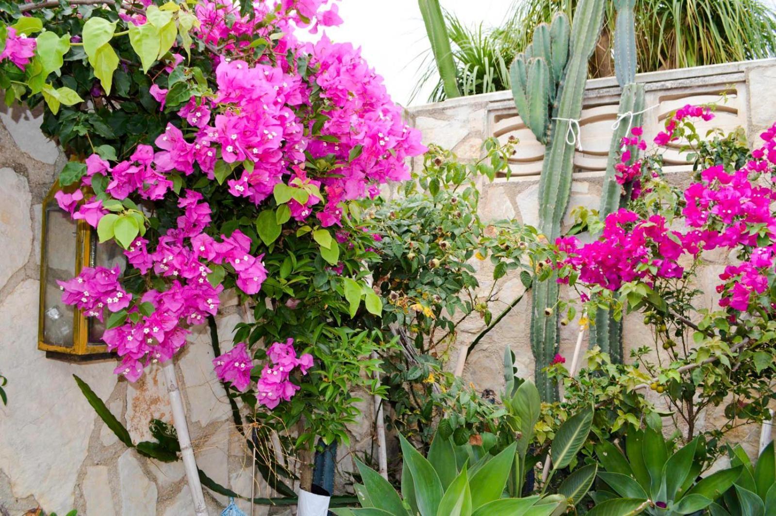 Stylish Family Villa, Near Beach,prive Parking,wifi Villa *